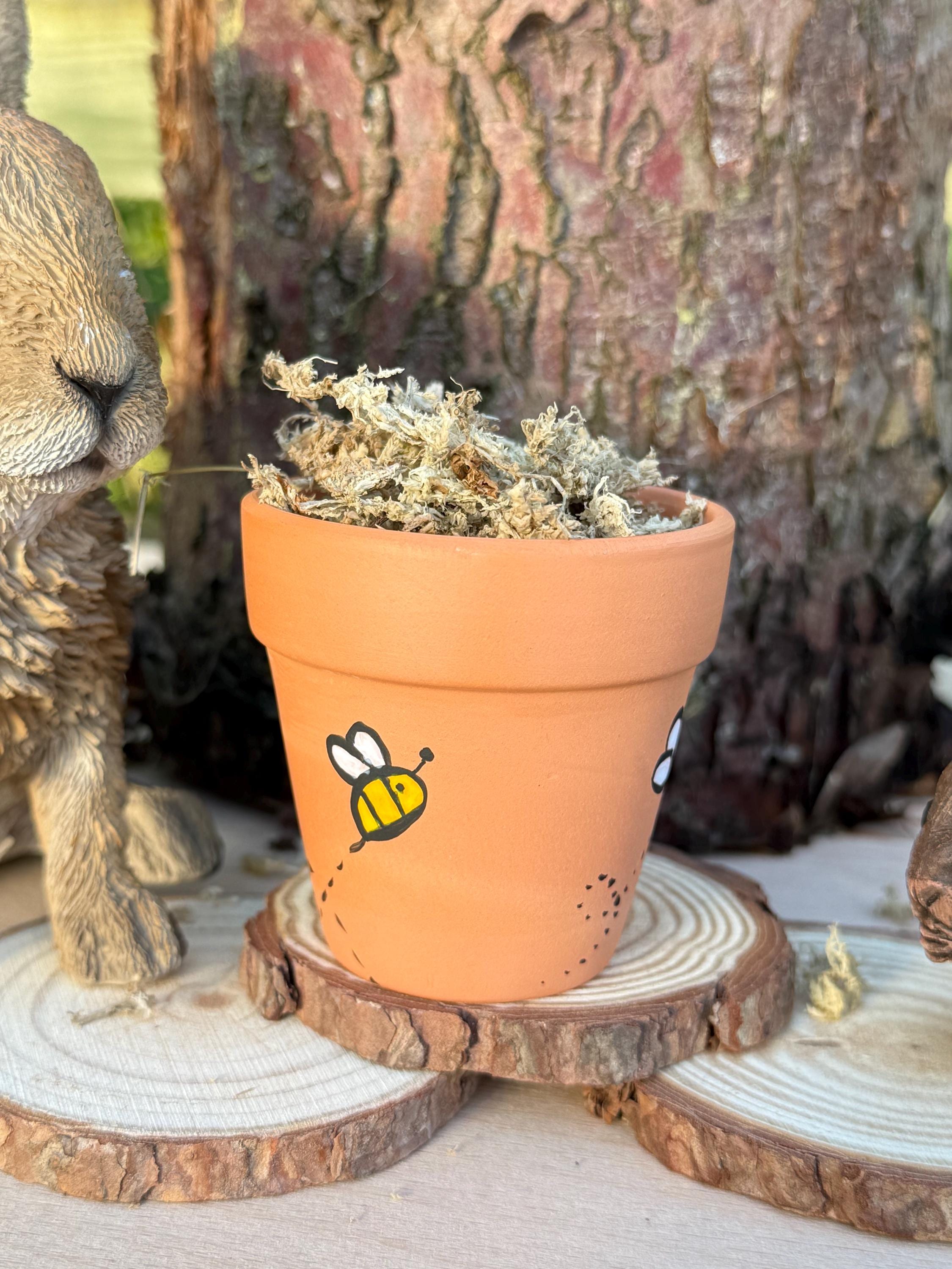 Hand-Painted Bee Mini Plant Pot Safe Moss For Hamsters
