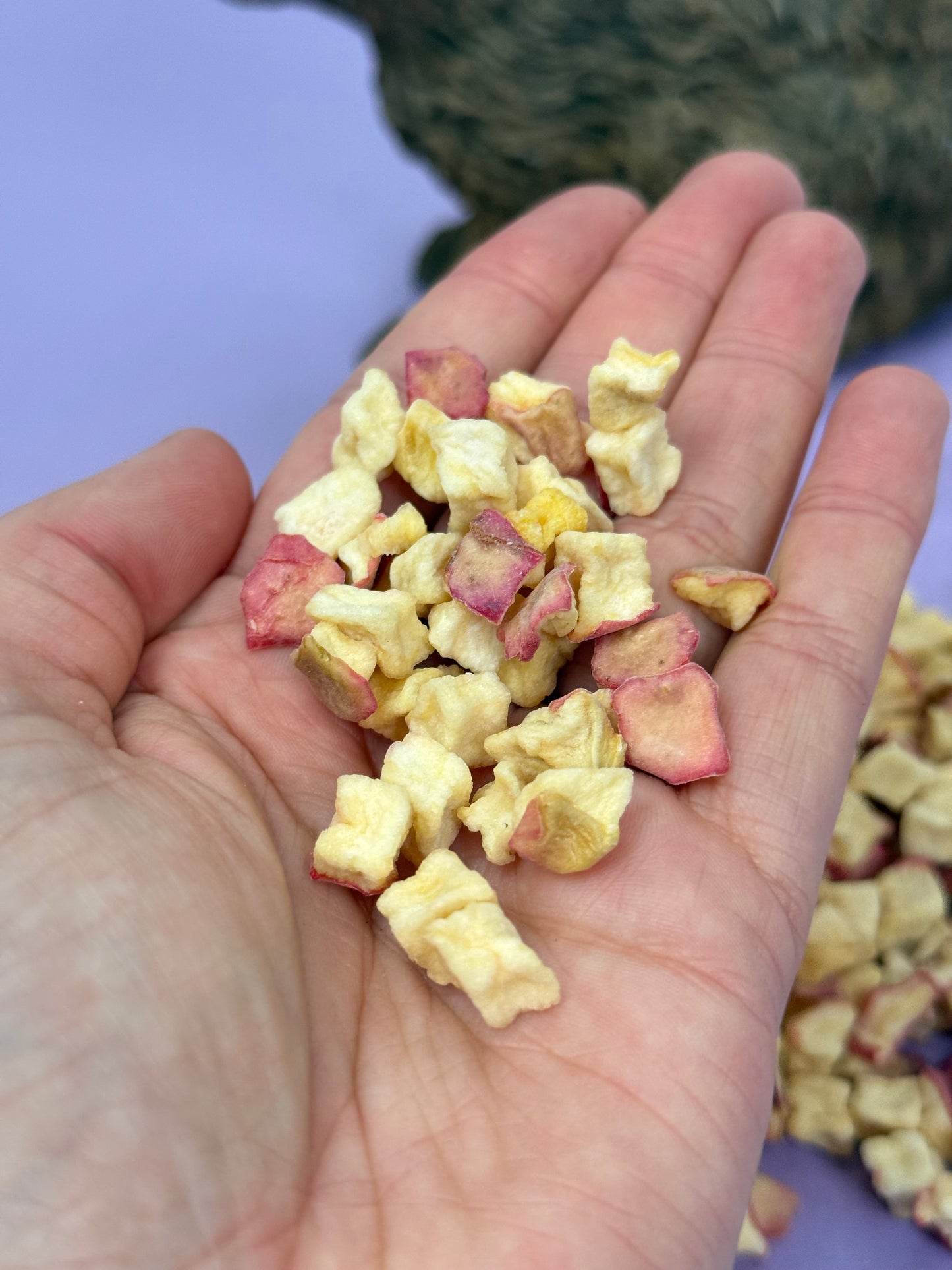 Dried Apple Natural Small Pet Treats