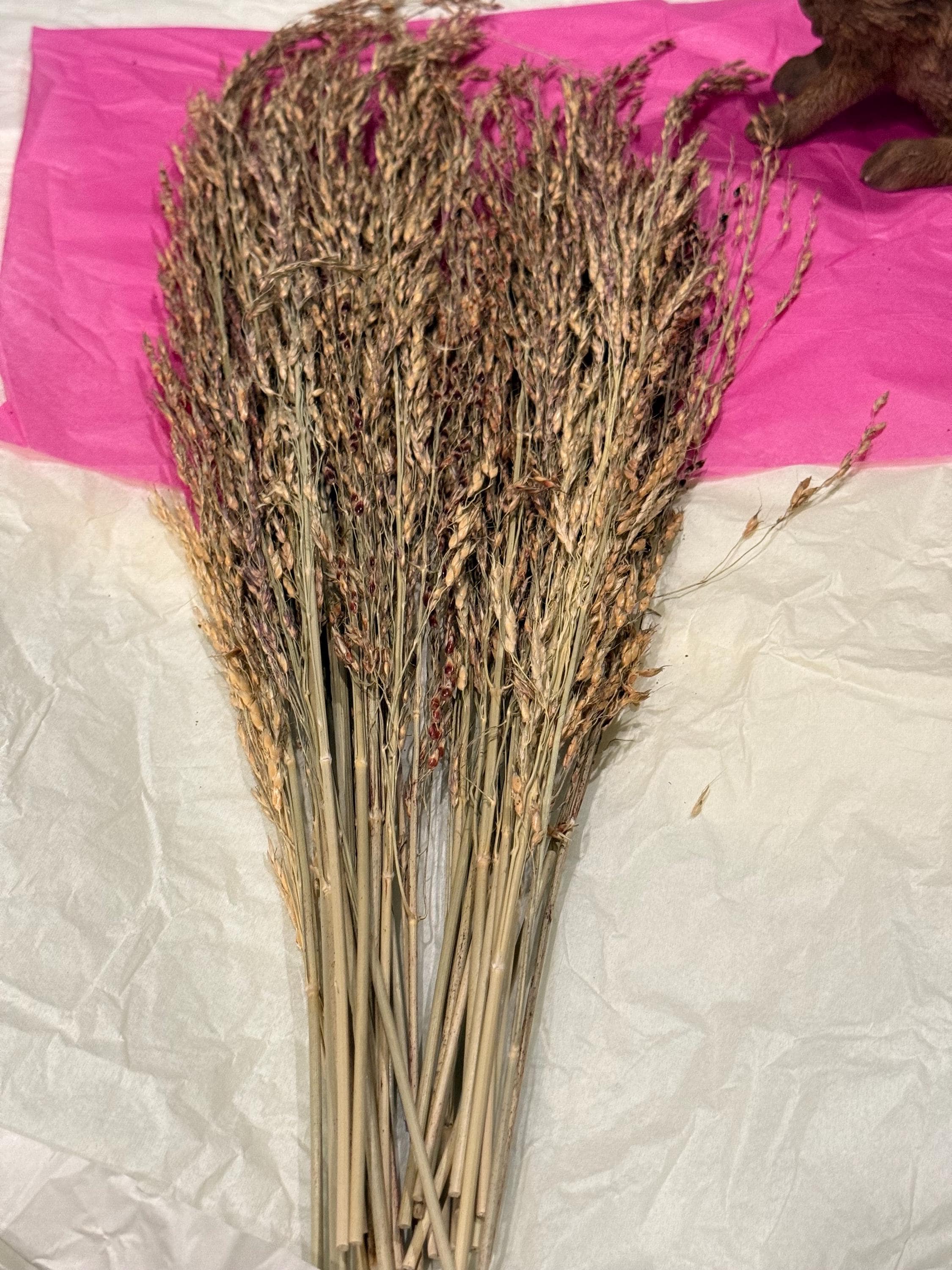 Organic Delicha Grass Sprays For Hamsters