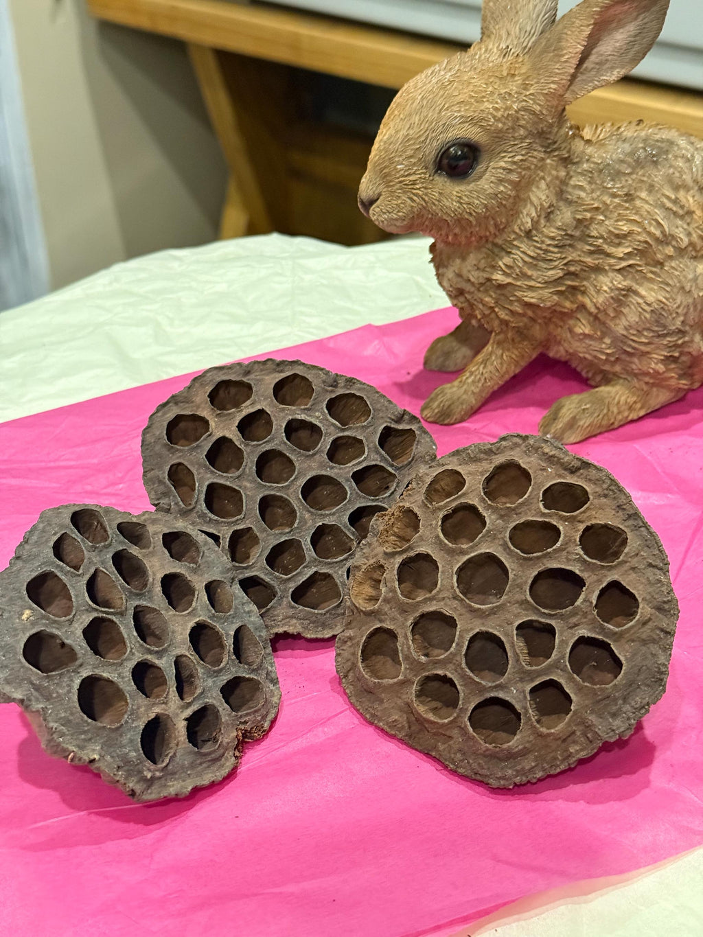 Lotus Pods Enrichment For Hamsters & Gerbils