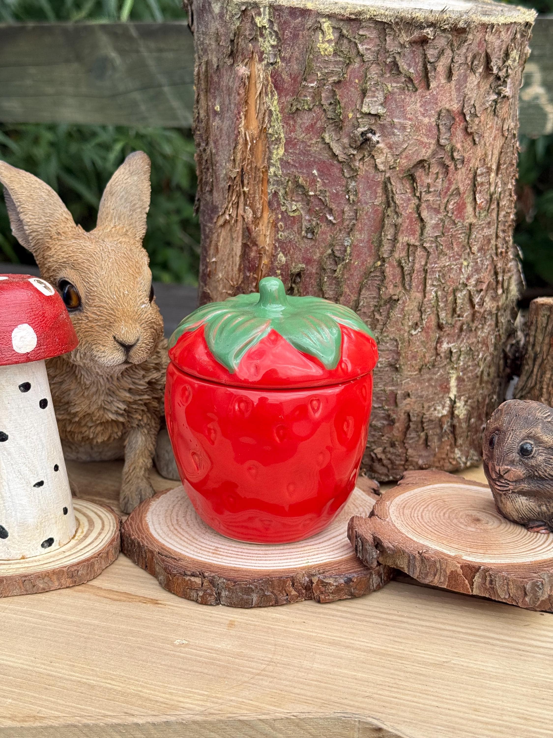 Strawberry Treat Jar Small Pet & Home Decor