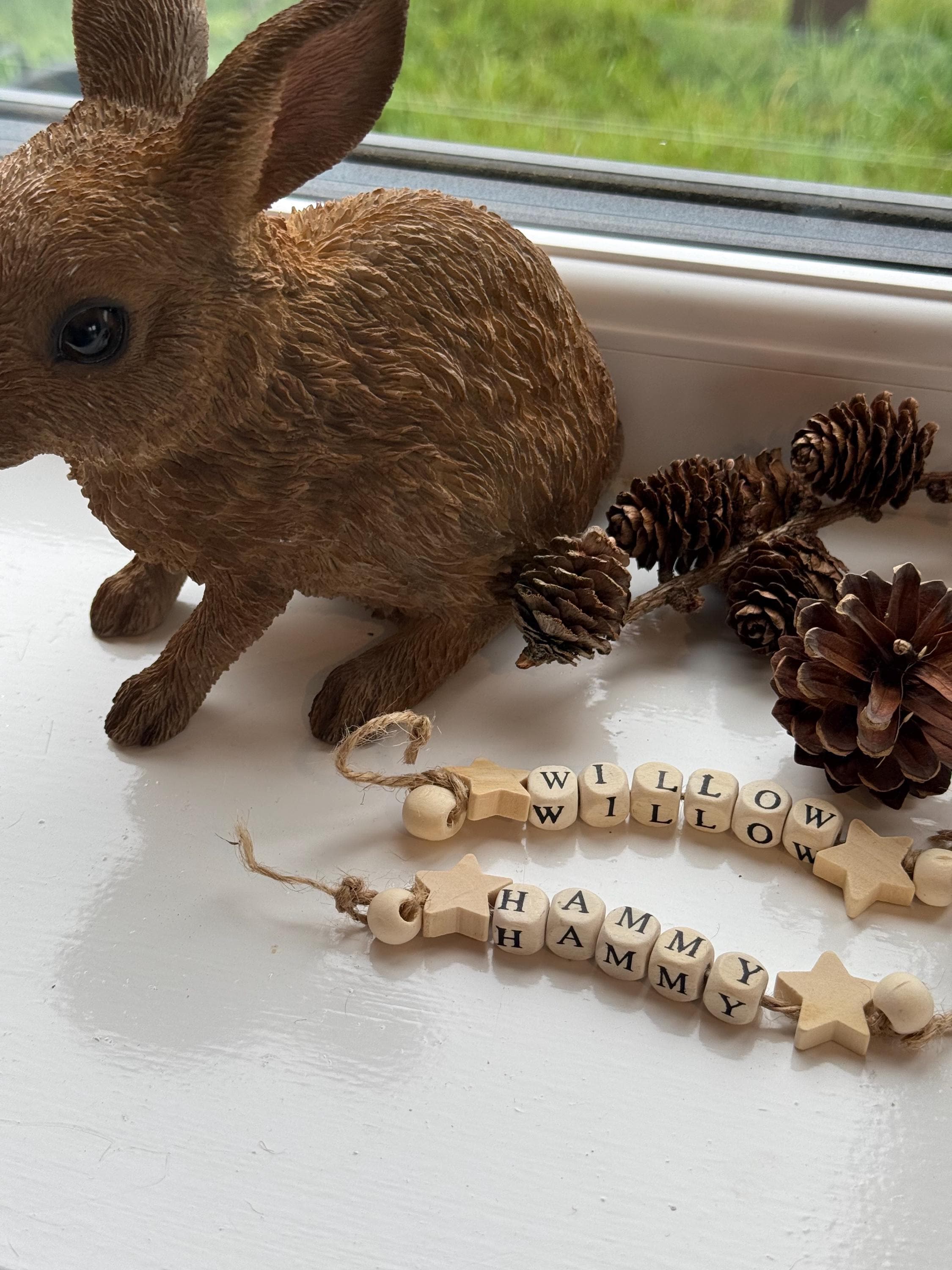 Custom Hamster Name Chew Toy Safe Wood