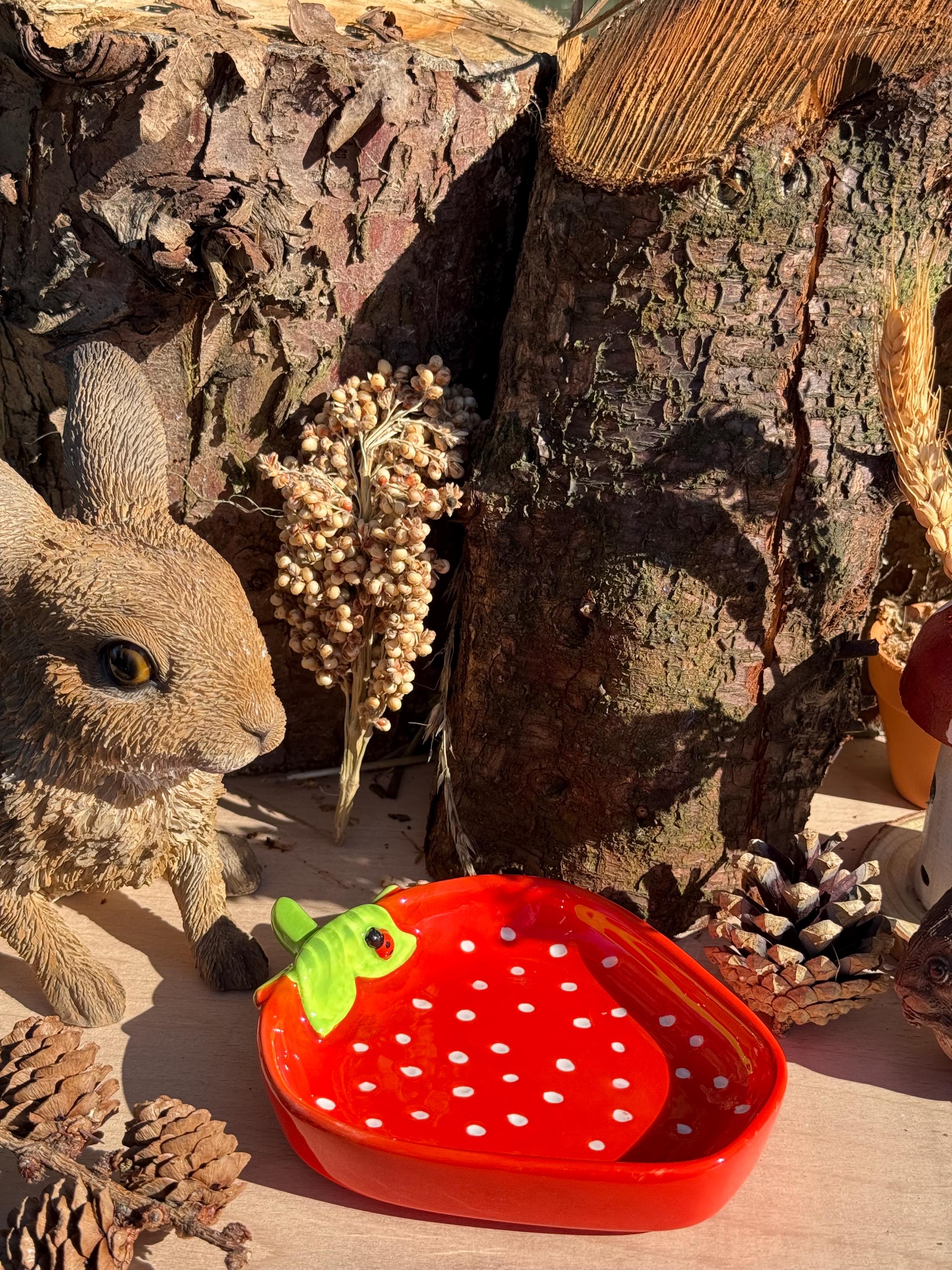 Strawberry Hamster Bowl Spotted Food Dish