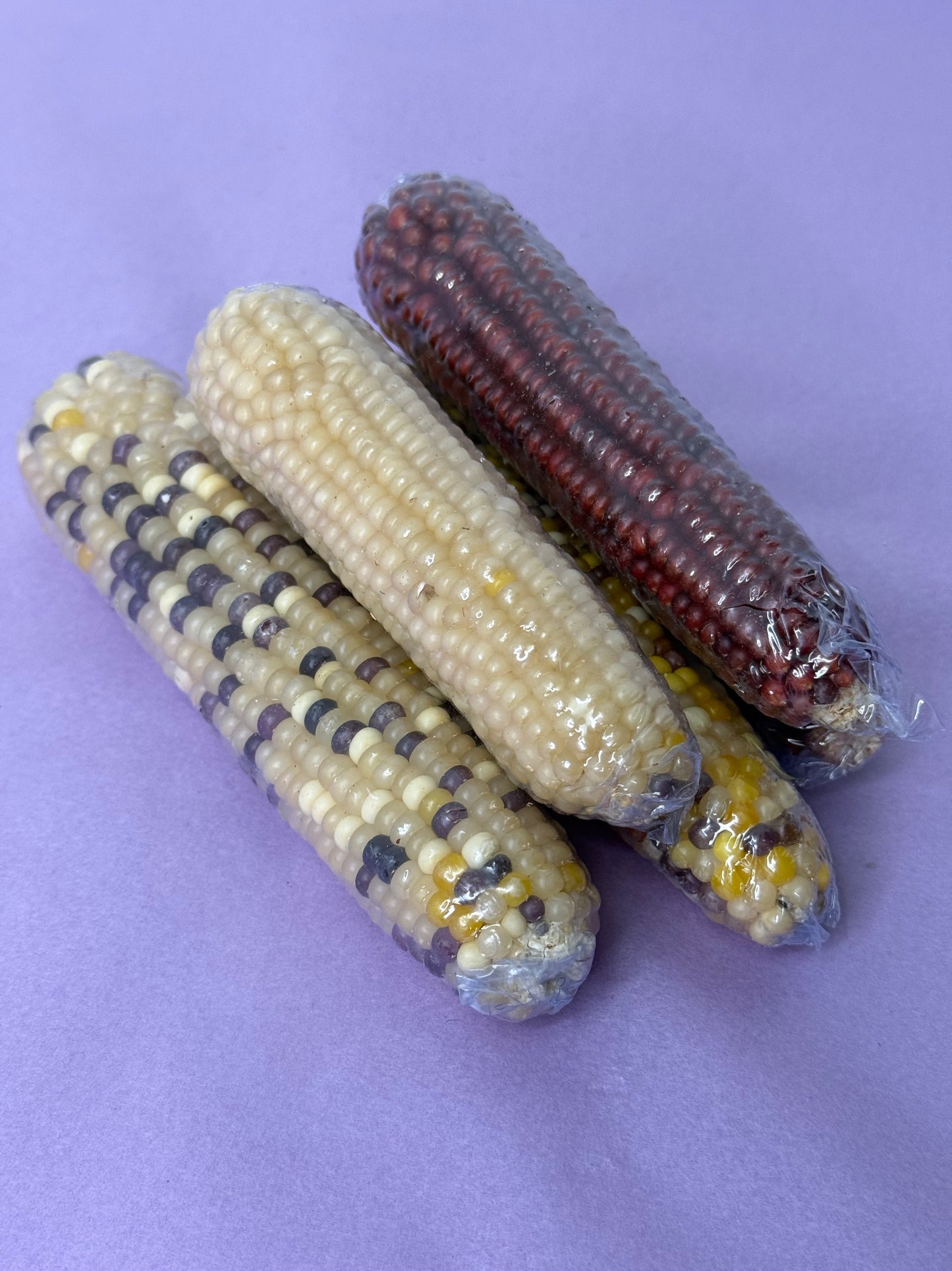Dried CornCobs Enrichment For Hamsters, Mice, Birds