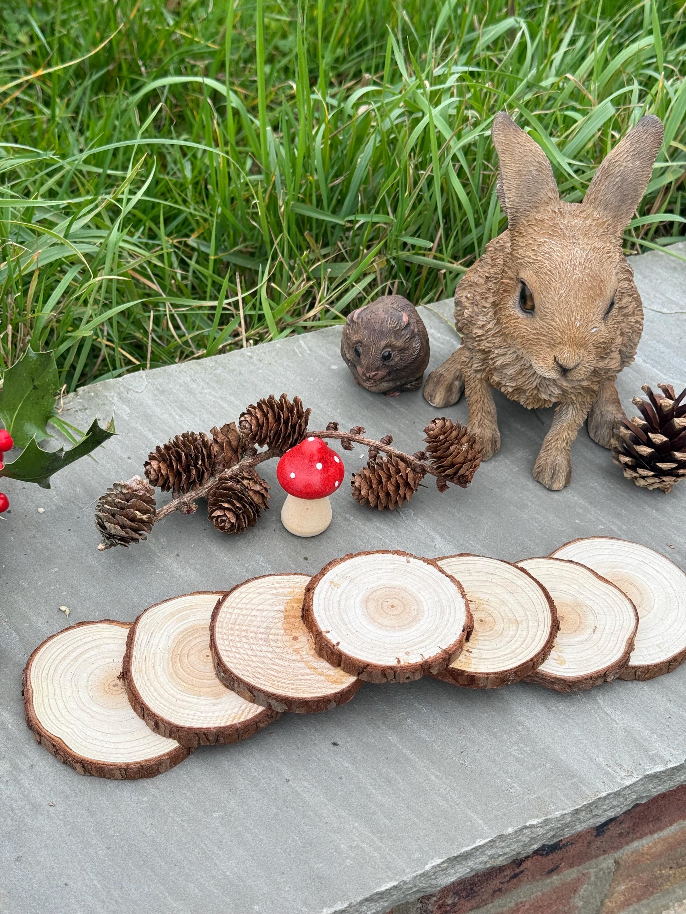 Hamster Wooden (hazel) Stepping Stone Bridge For Hamster Cages