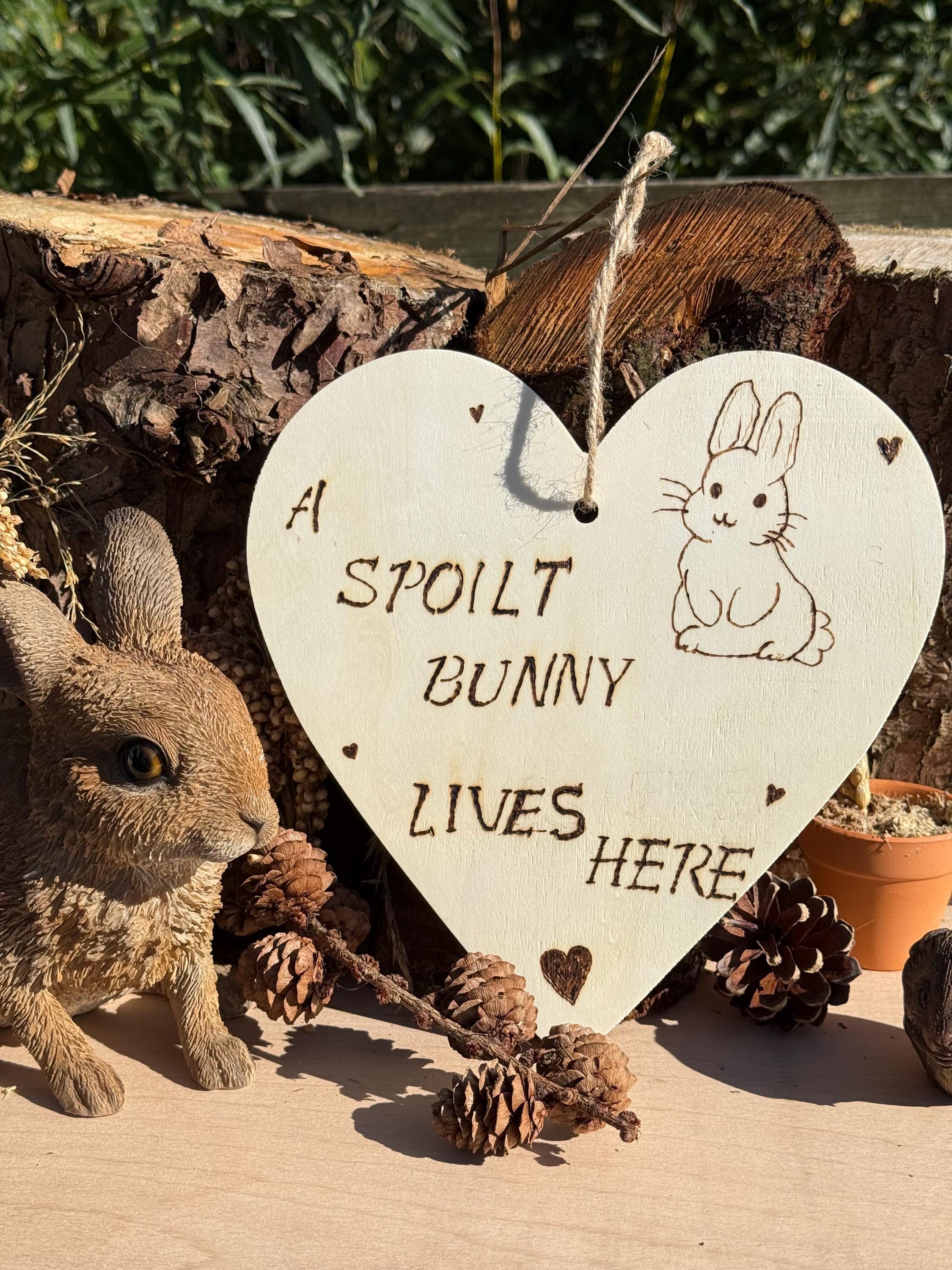 Hanging Wooden Heart Sign Bunny Rabbit Home Decor