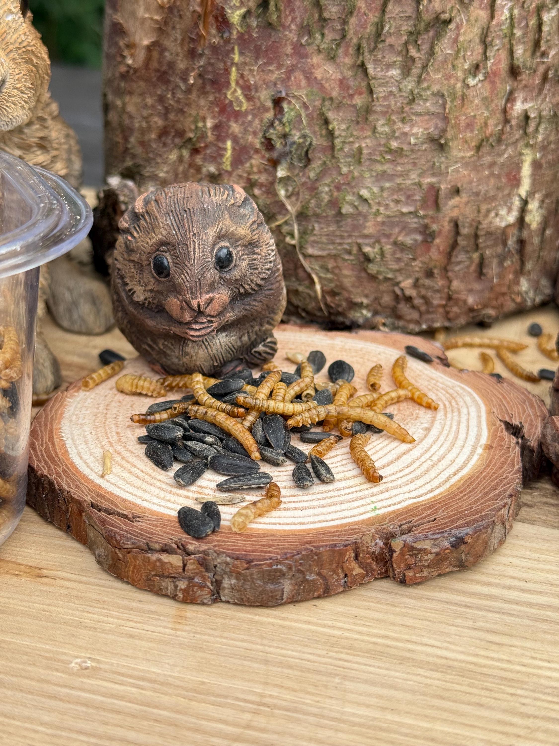 Dried Mealworm & Sunflower Seed Mix for Hamsters, Rats, Birds