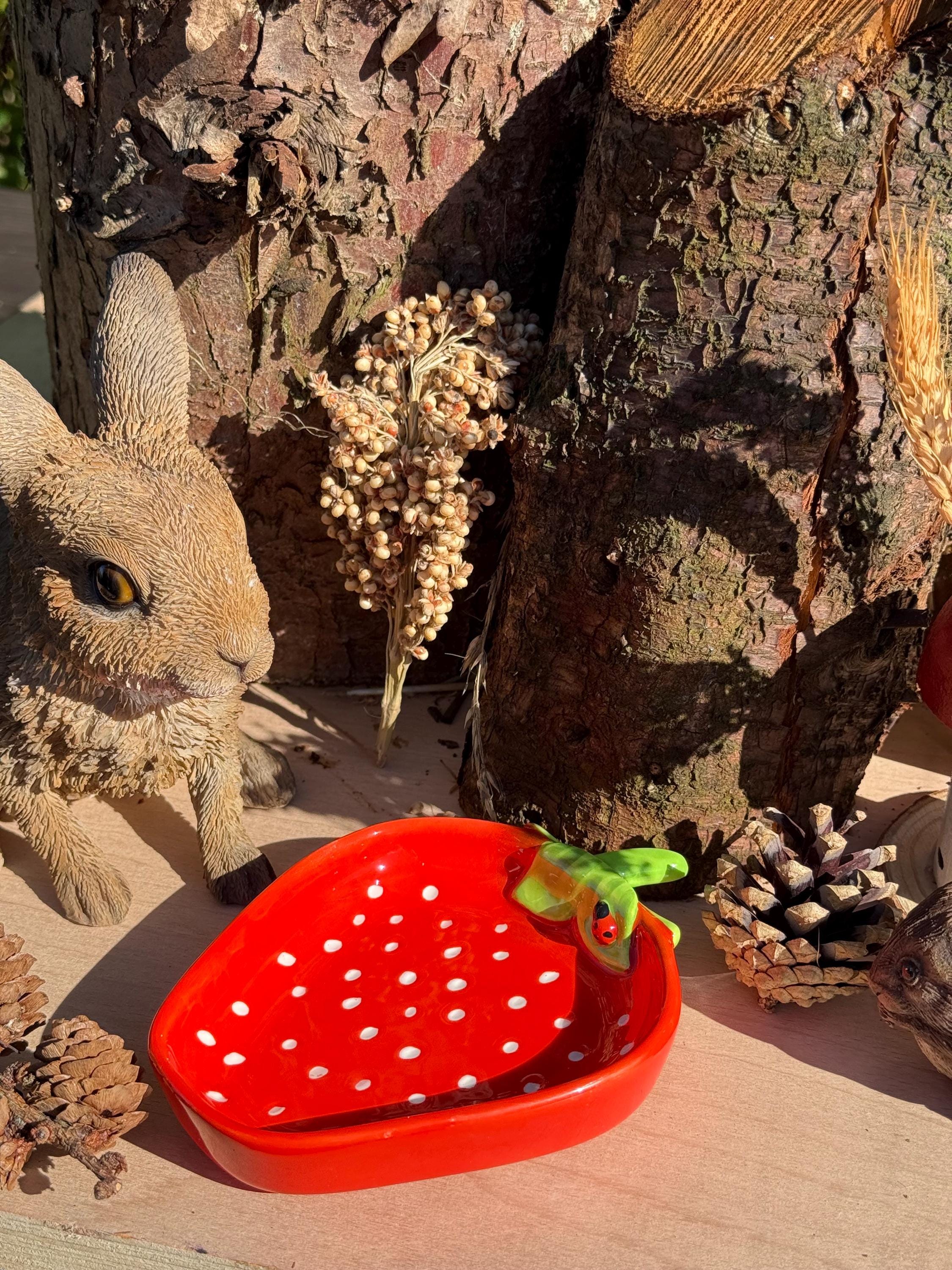 Strawberry Hamster Bowl Spotted Food Dish