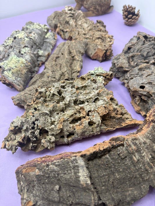 Cork Log Pieces Hamster cage & Aquarium Decor
