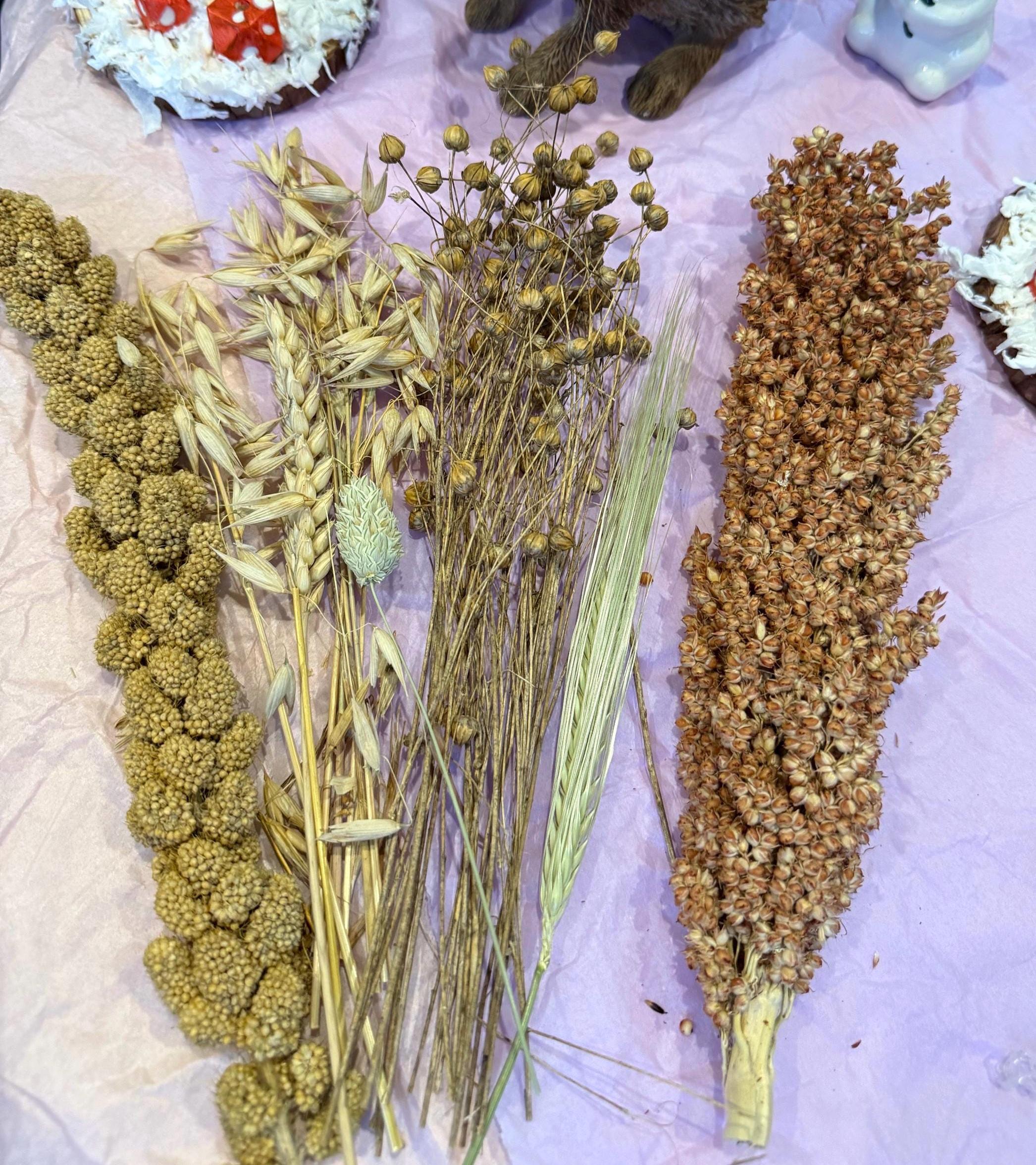 Christmas Spray Bundle For Hamsters & Gerbils