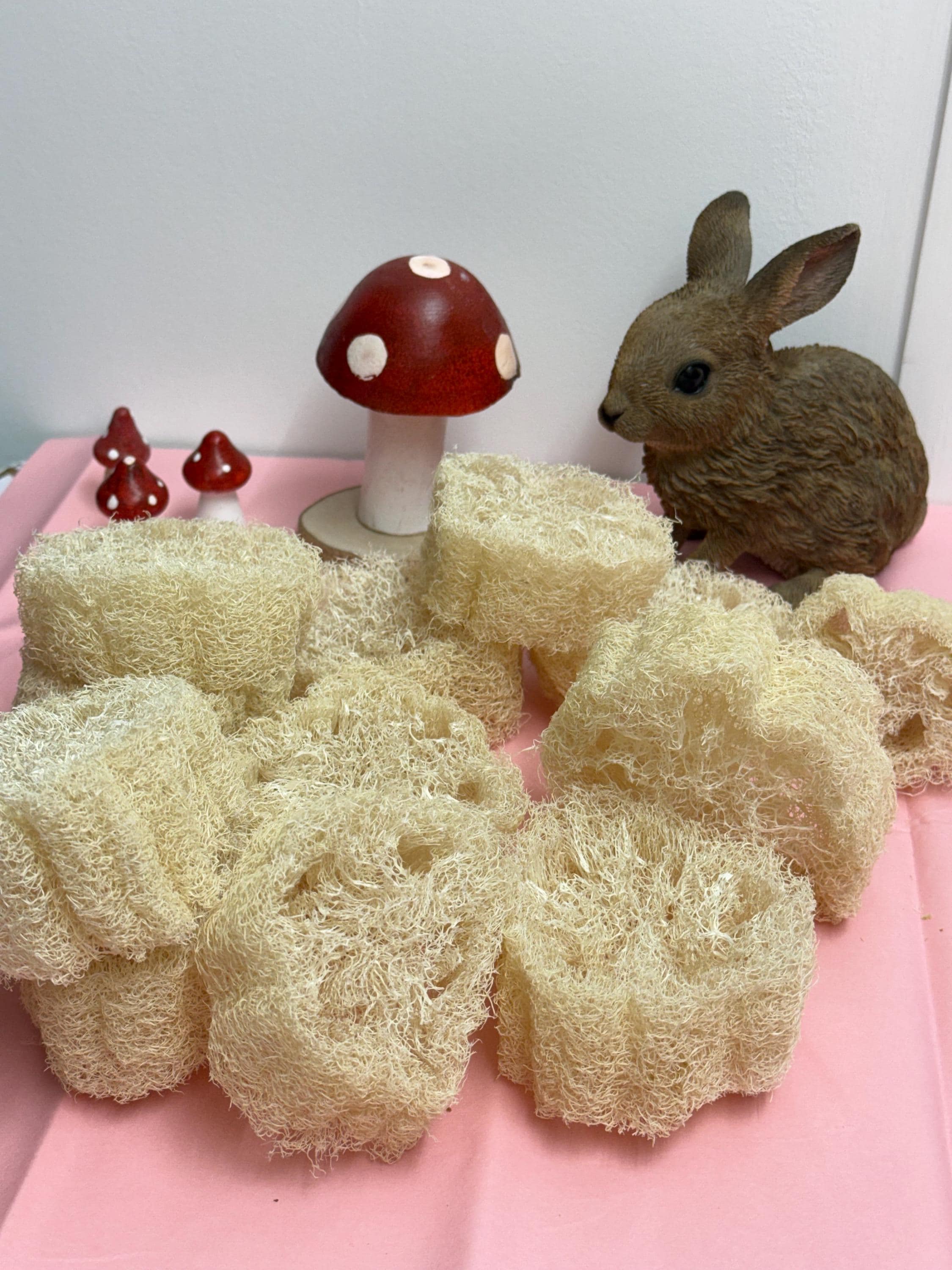 Chunky Natural Loofah Slice Thick - Enrichment For Small Animals