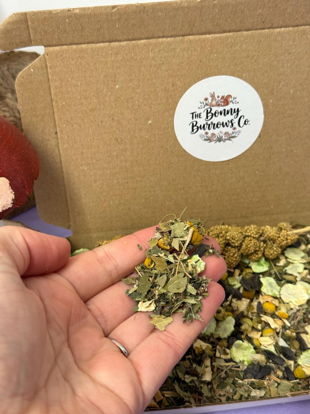 Leafy Natural Forage Selection Box For Hamsters