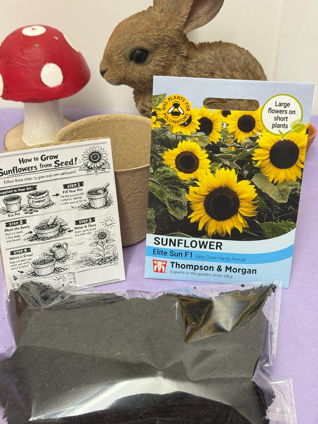 Grow Your Own Sunflower Kit! Eco Friendly Gift