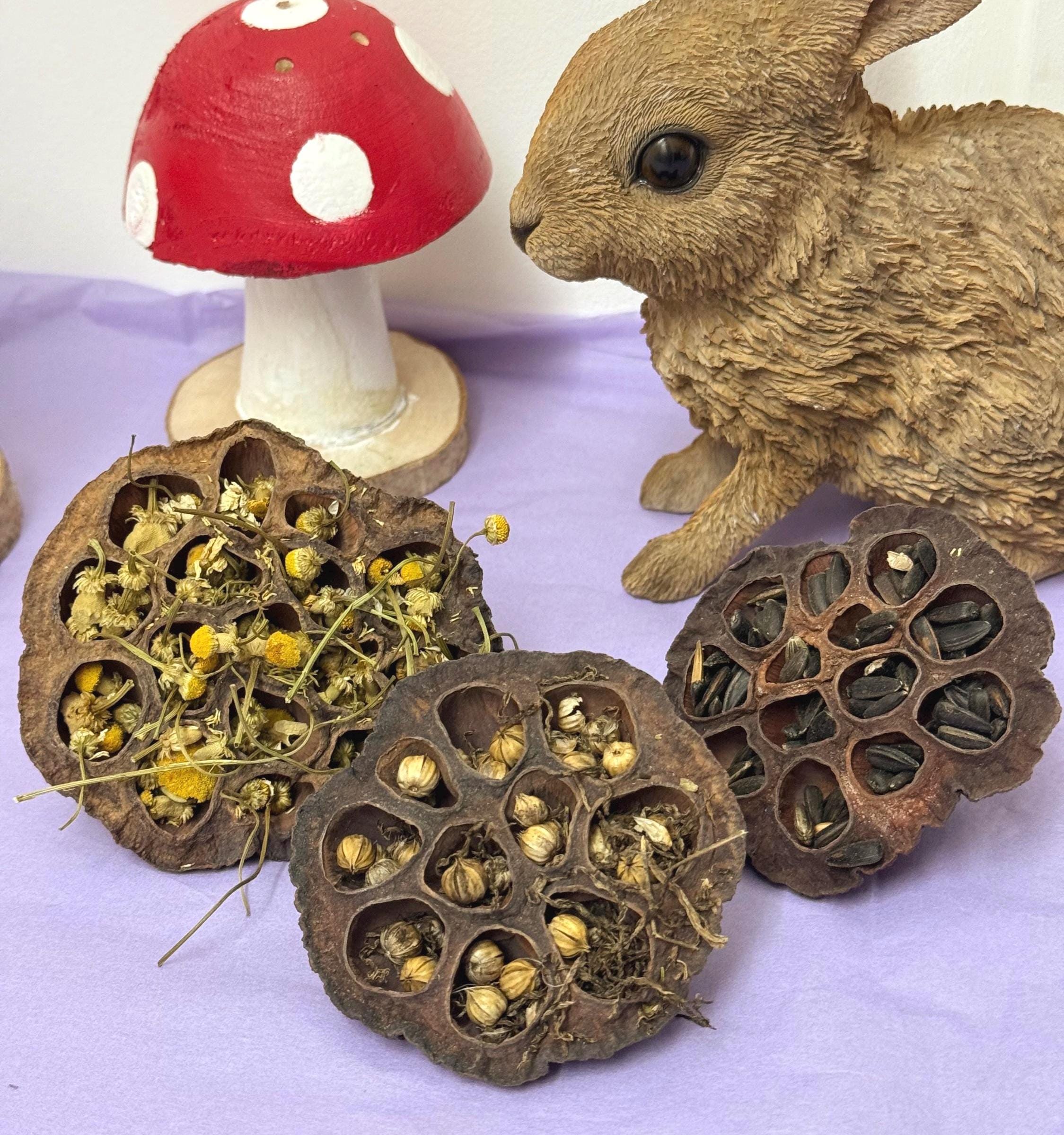 Stuffed Lotus Pods Enrichment For Hamsters & Gerbils