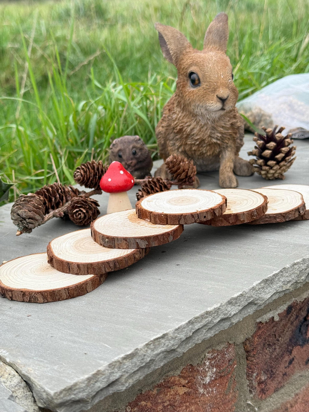 Hamster Wooden (hazel) Stepping Stone Bridge For Hamster Cages