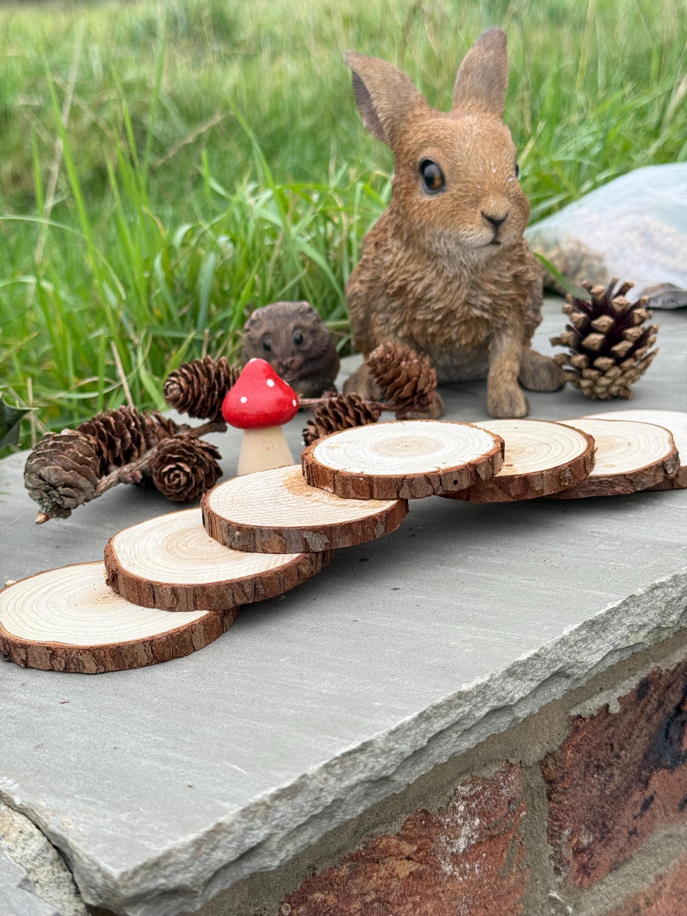 Hamster Wooden (hazel) Stepping Stone Bridge For Hamster Cages