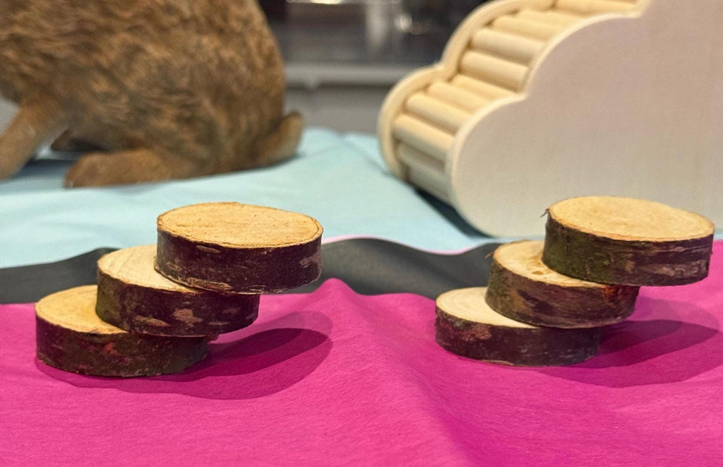 Mini Steps For Hamster & Small Animal Cages