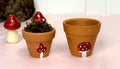 Hand-Painted Toadatool Mini Plant Pot For Small Animals Whimsical Decor