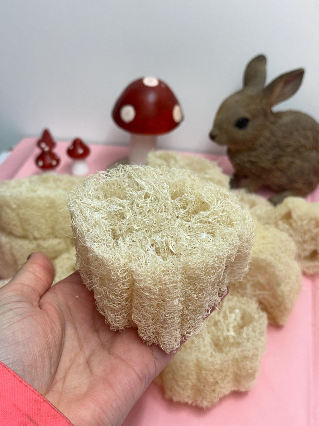 Chunky Natural Loofah Slice Thick - Enrichment For Small Animals