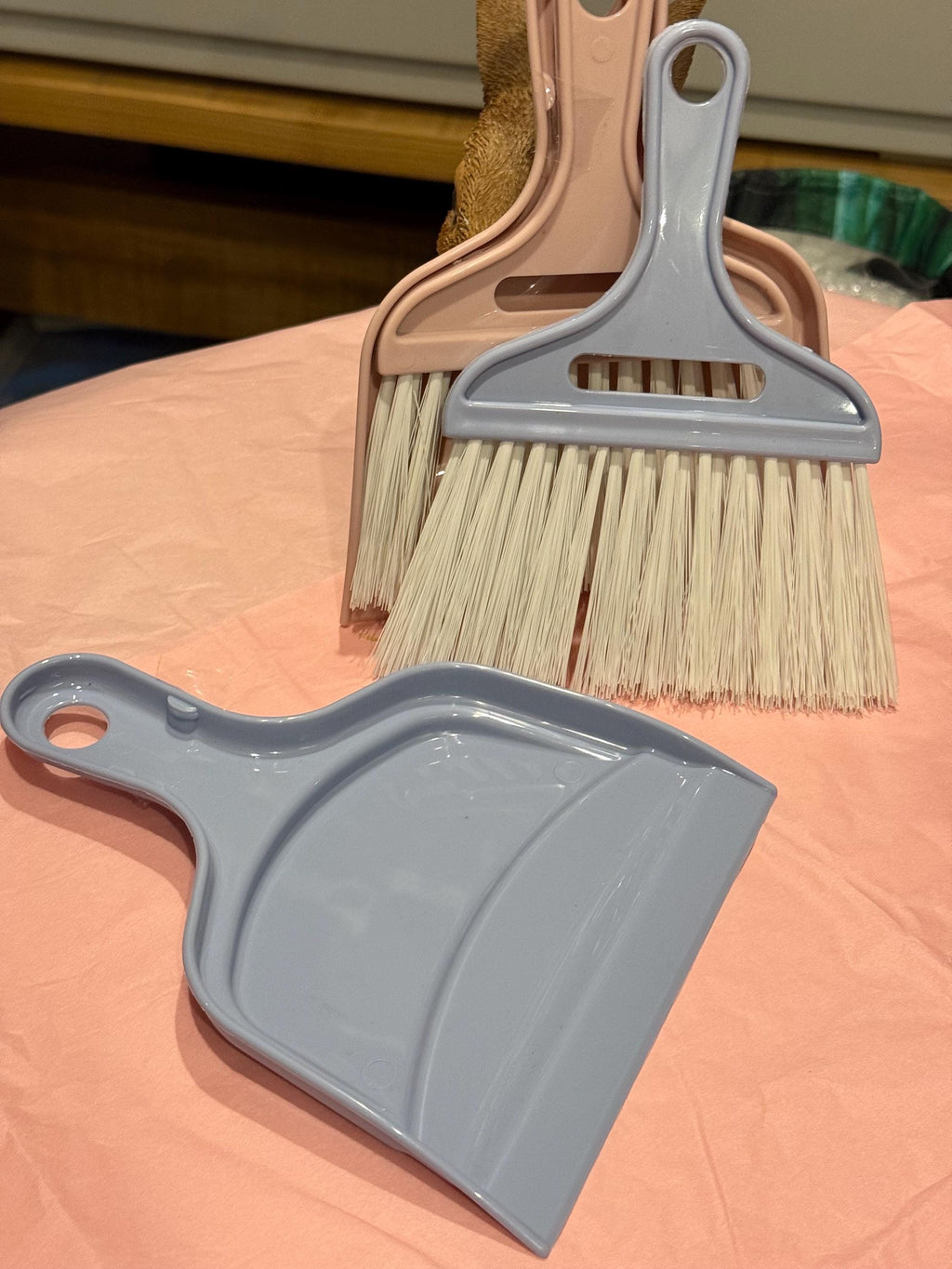 Mini Dustpan & Brush for cleaning small animals enclosures