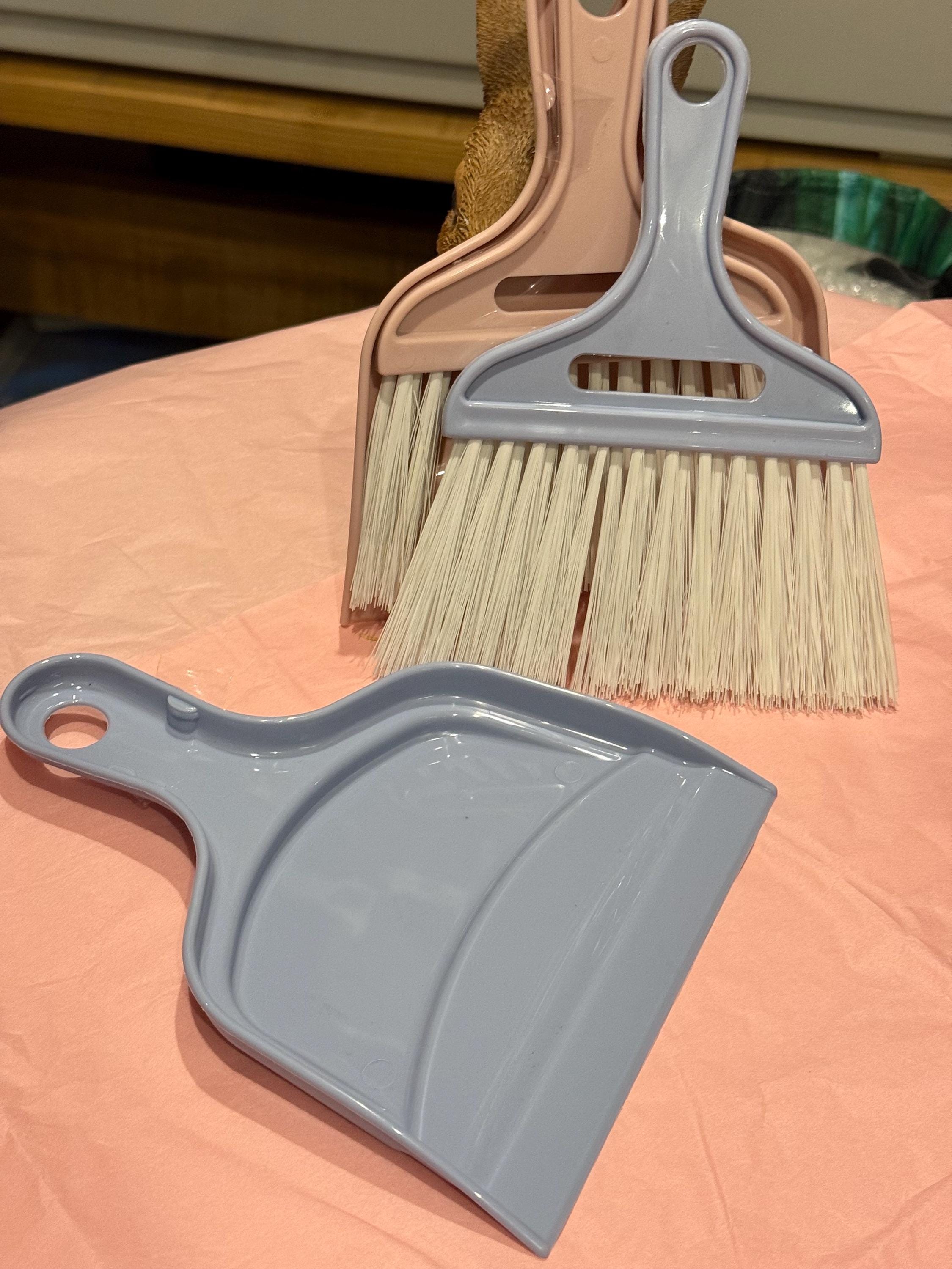 Mini Dustpan & Brush for cleaning small animals enclosures