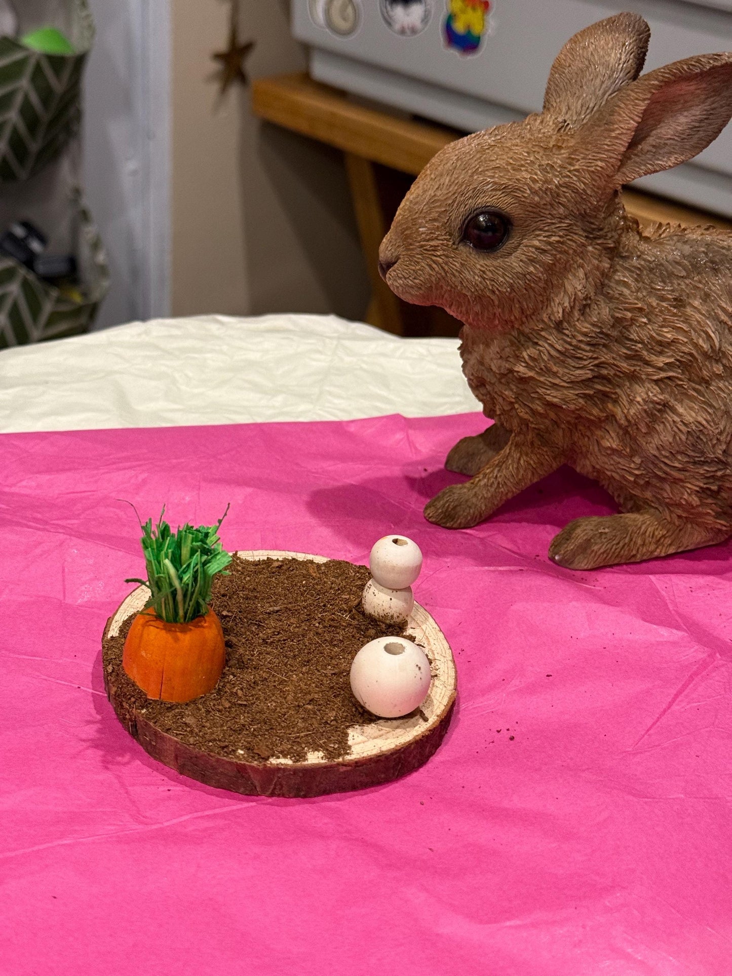 Carrot Patch Coco Soil Hamster Spray Holder