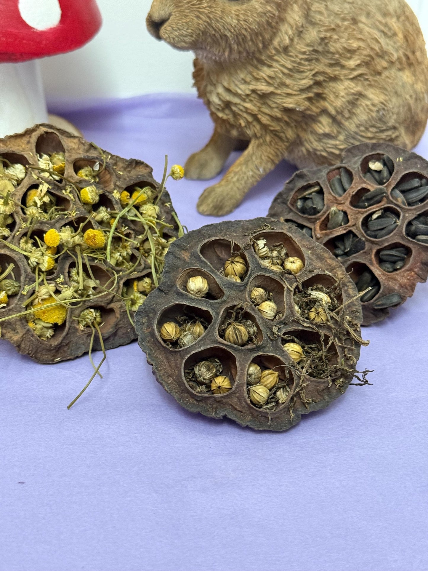 Stuffed Lotus Pods Enrichment For Hamsters & Gerbils