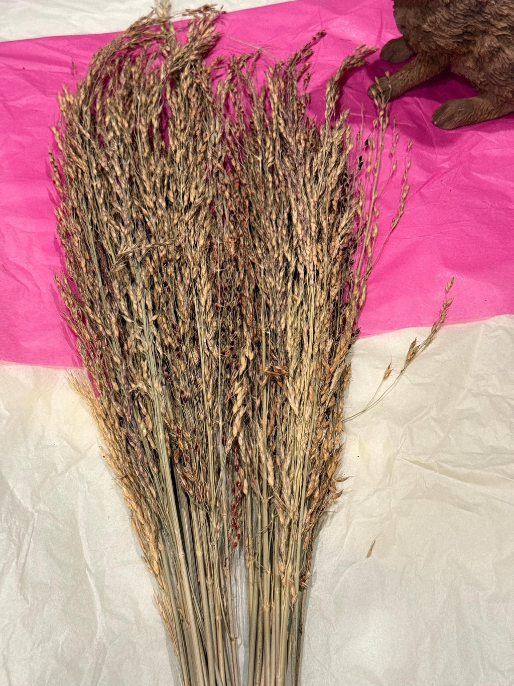 Organic Delicha Grass Sprays For Hamsters