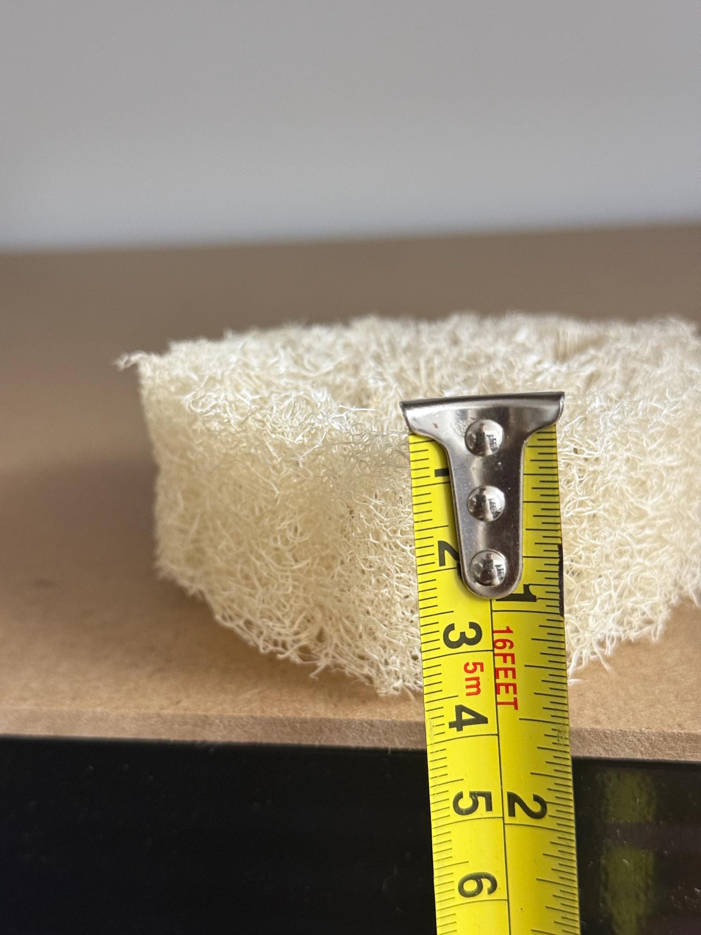 Chunky Natural Loofah Slice Thick - Enrichment For Small Animals