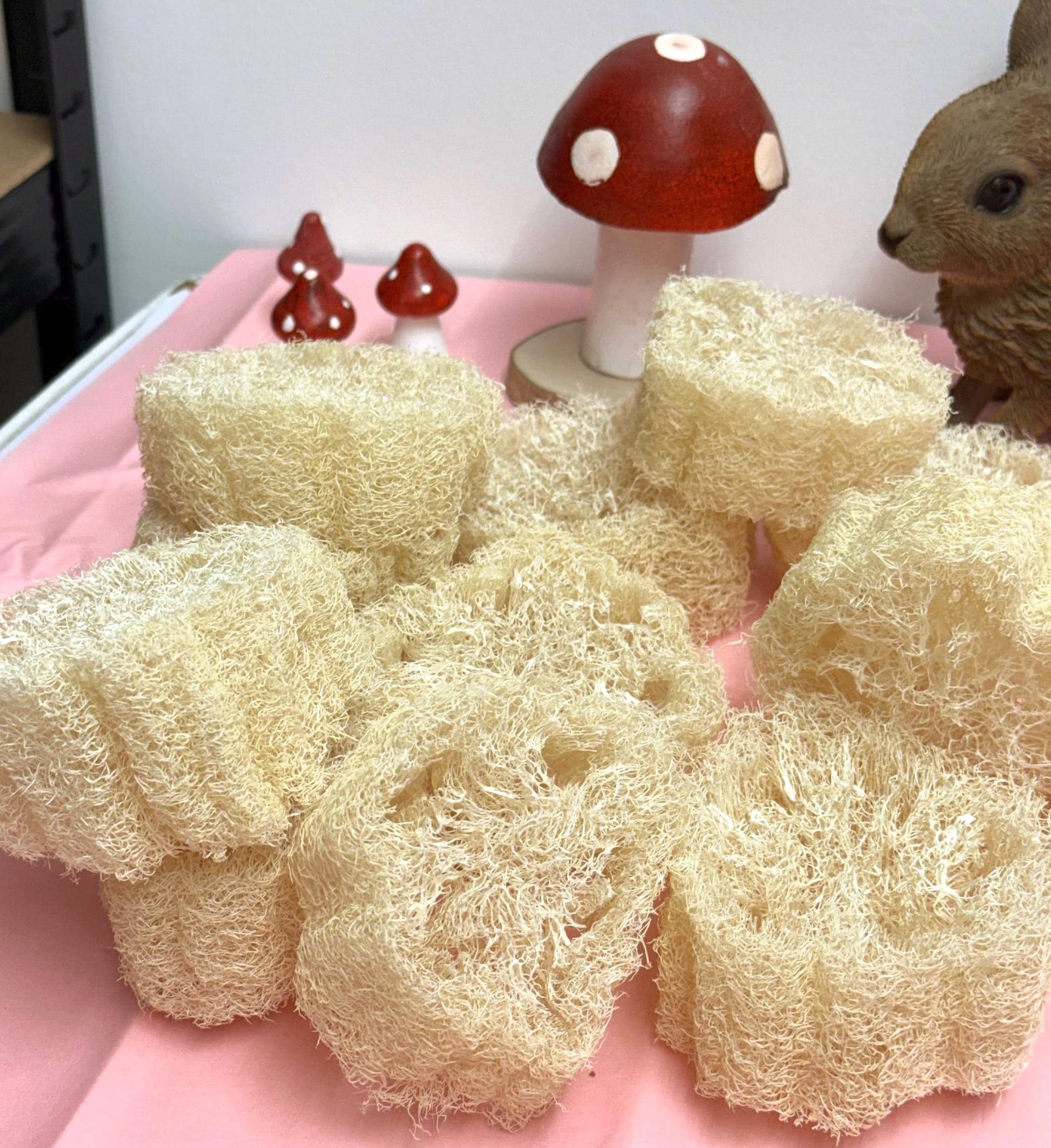 Chunky Natural Loofah Slice Thick - Enrichment For Small Animals