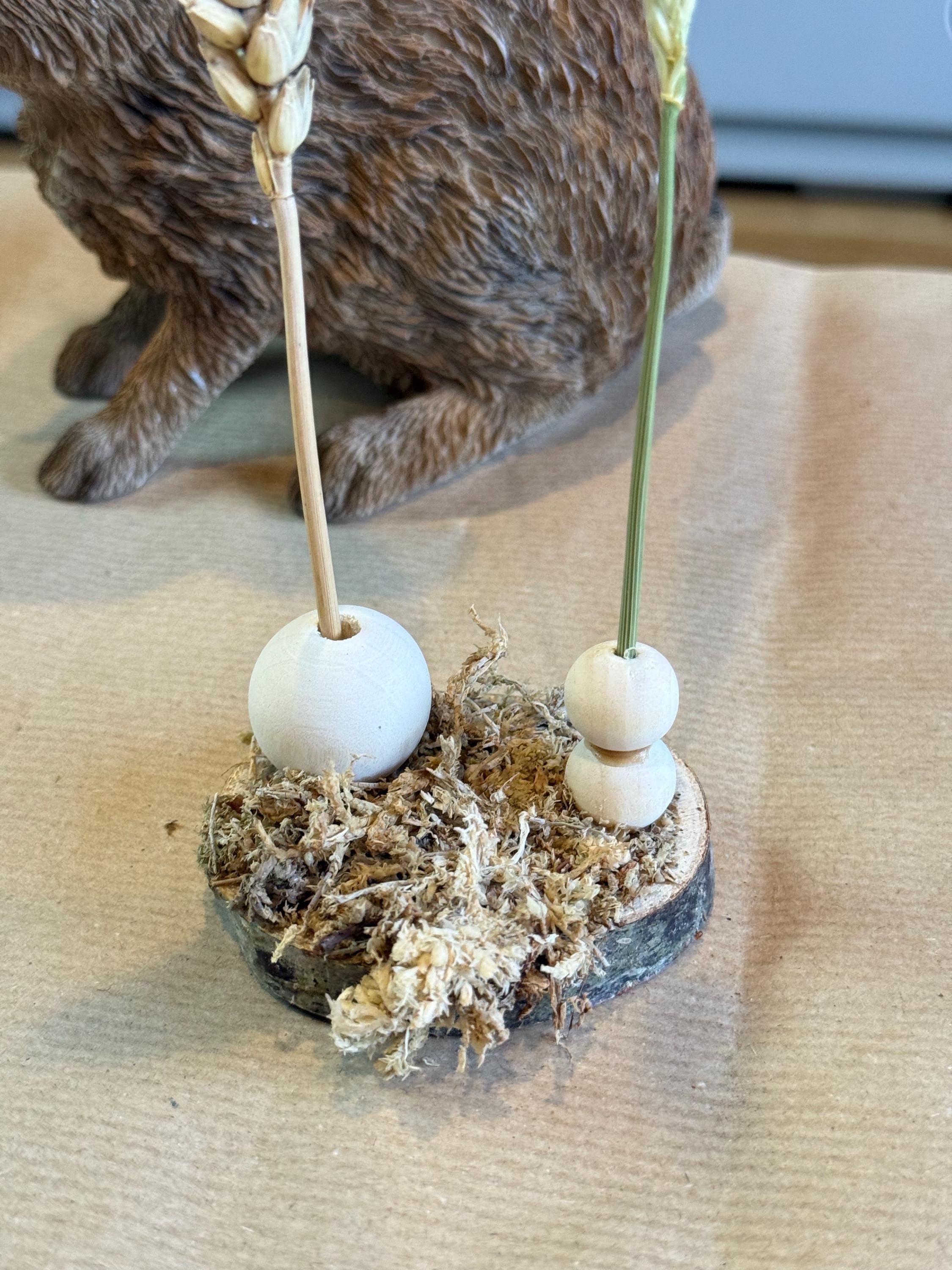 Moss Covered Hamster Spray Holder: Natural Foraging Enrichment