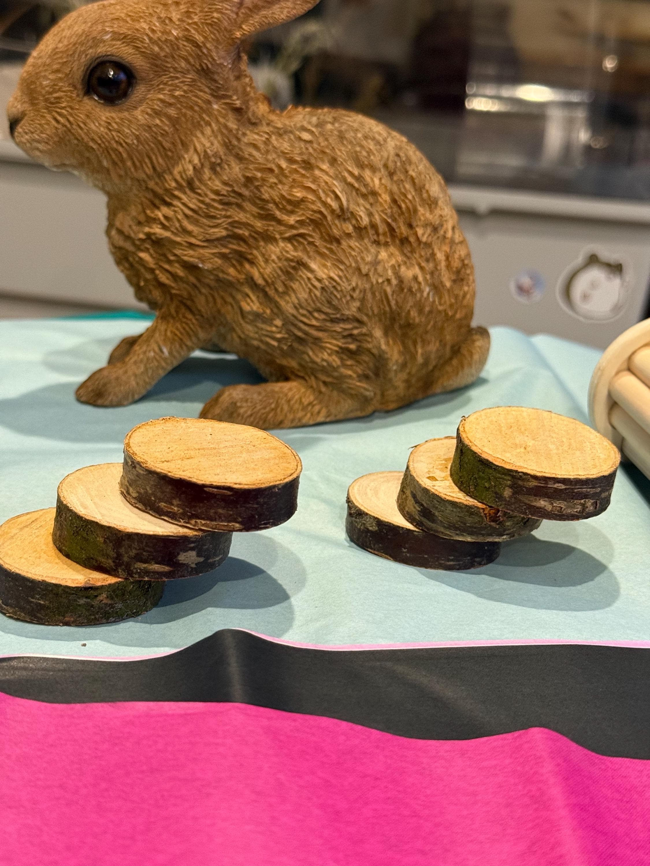 Mini Steps For Hamster & Small Animal Cages