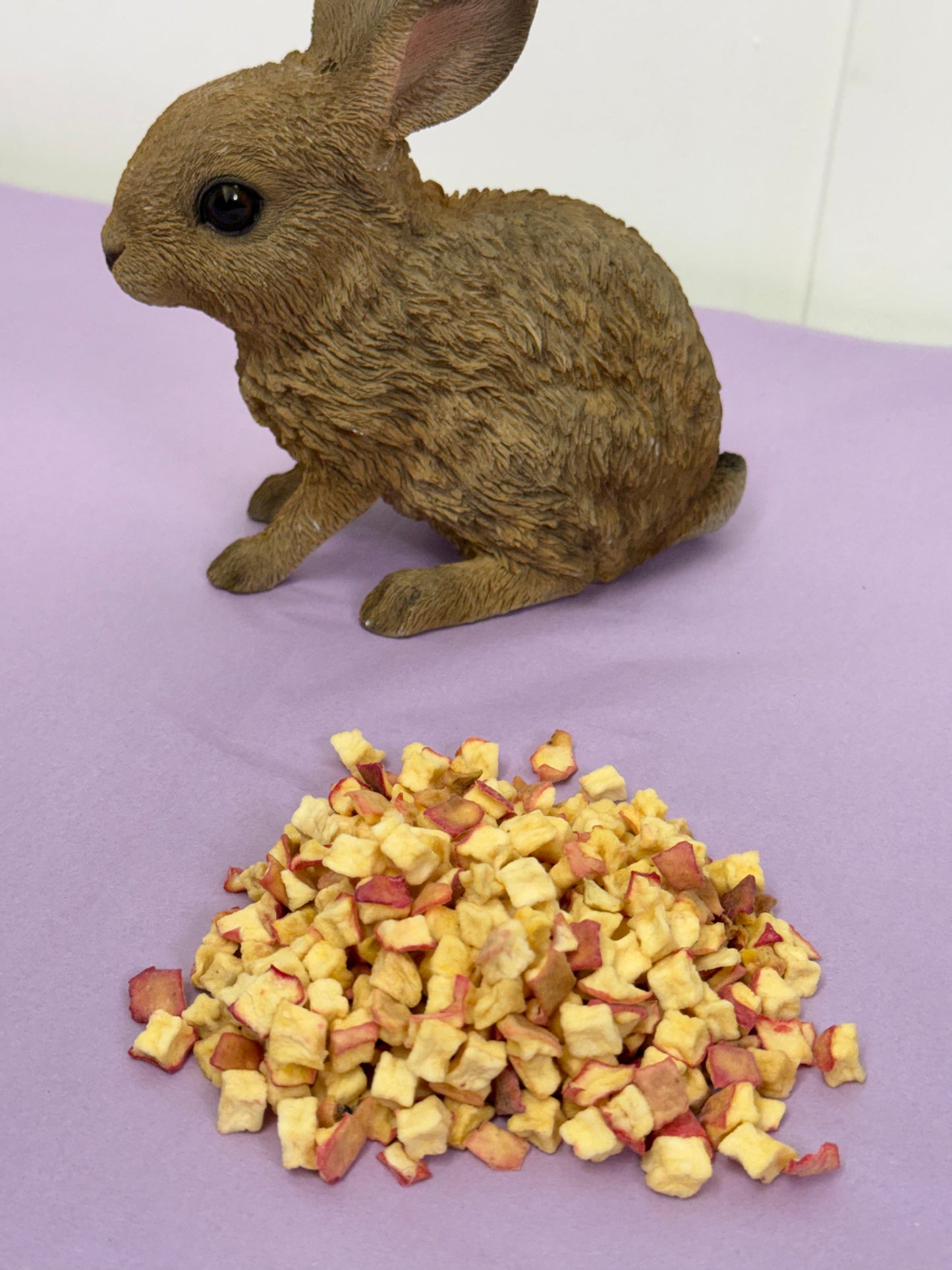 Dried Apple Natural Small Pet Treats