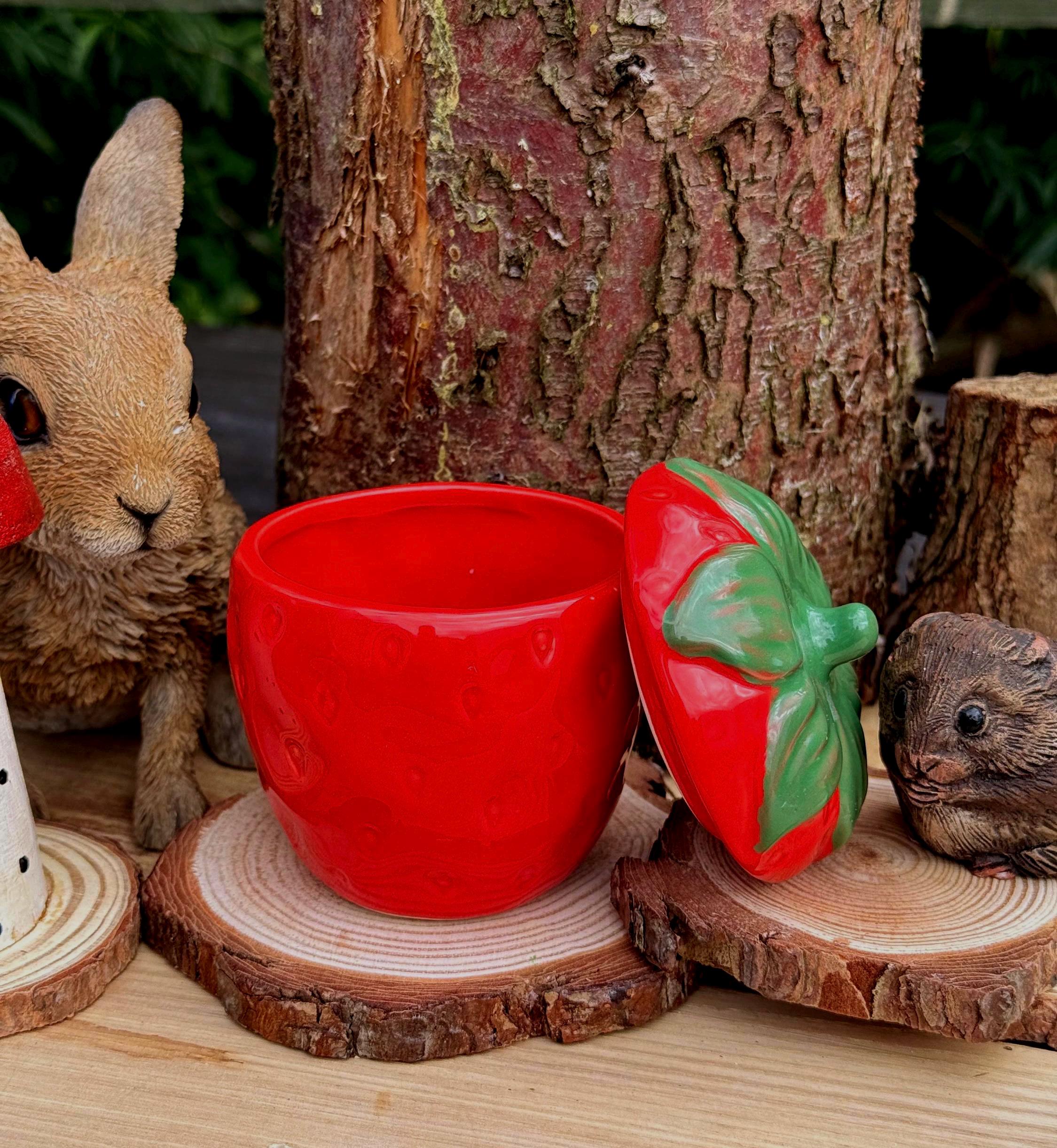 Strawberry Treat Jar Small Pet & Home Decor