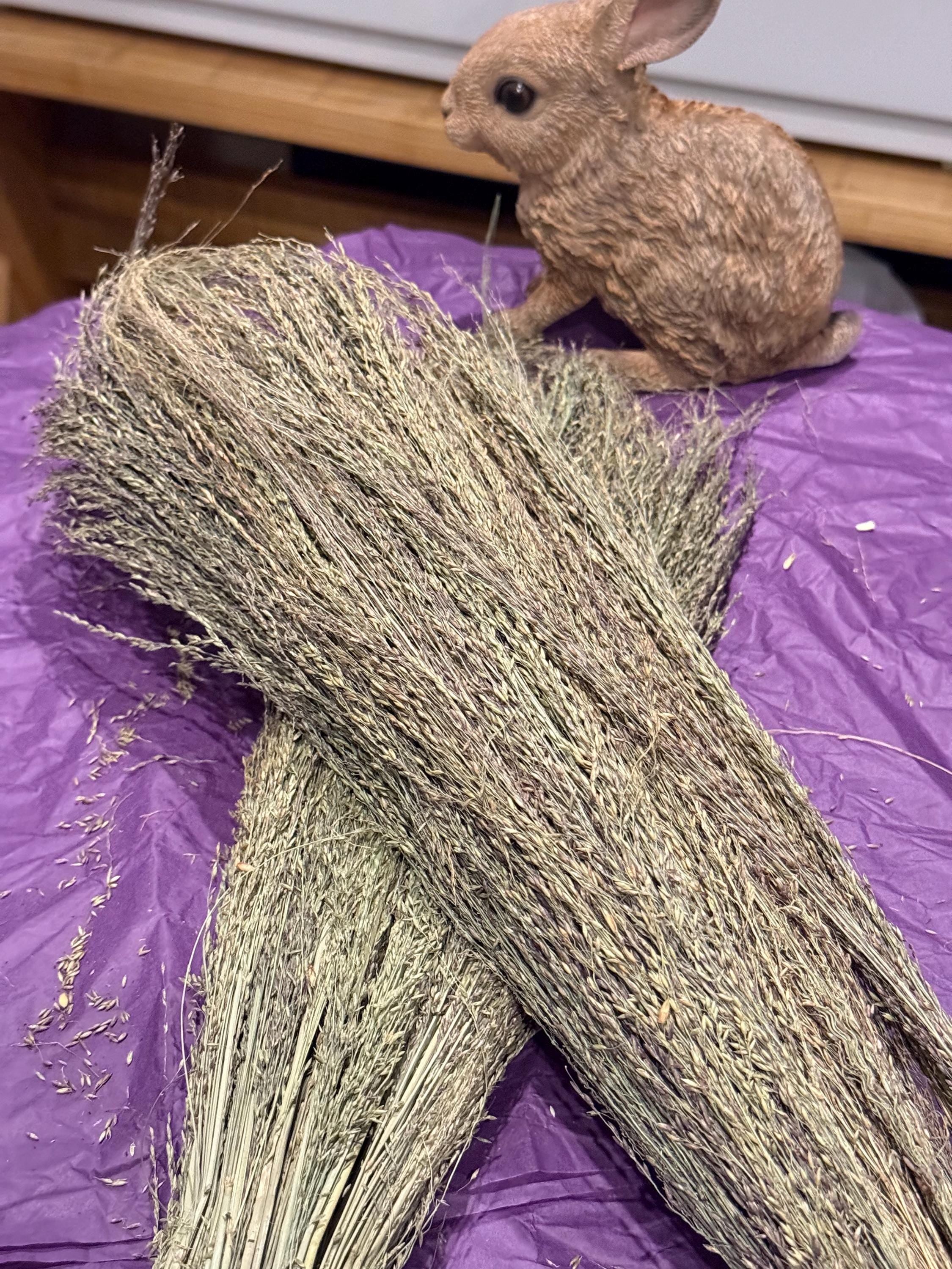 Organic Pagima Grass Sprays For Hamsters