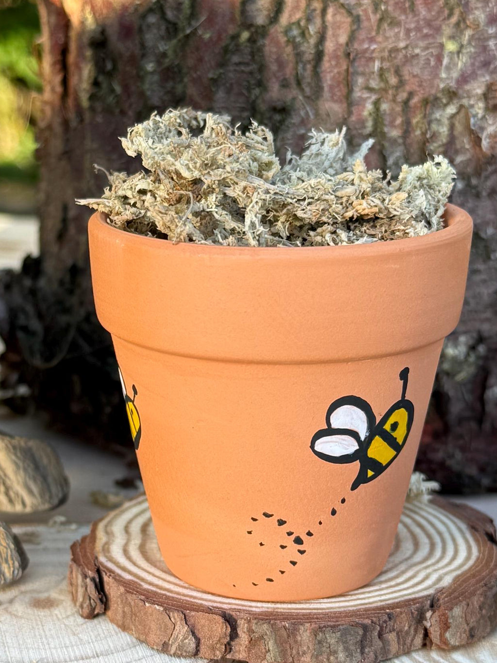 Hand-Painted Bee Mini Plant Pot Safe Moss For Hamsters