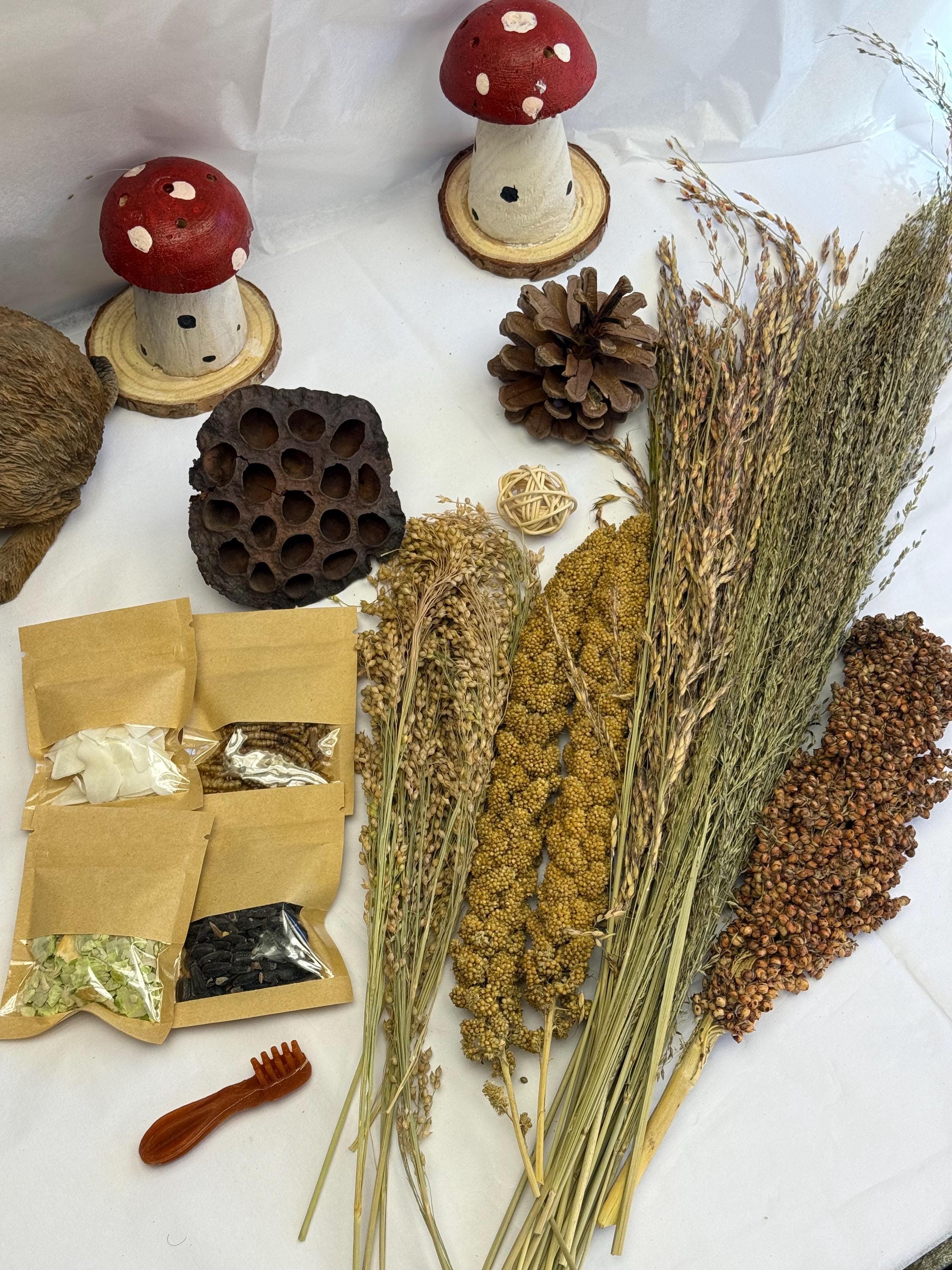 Mega Hamster Enrichment Bundle Sprays, Treats & Toys