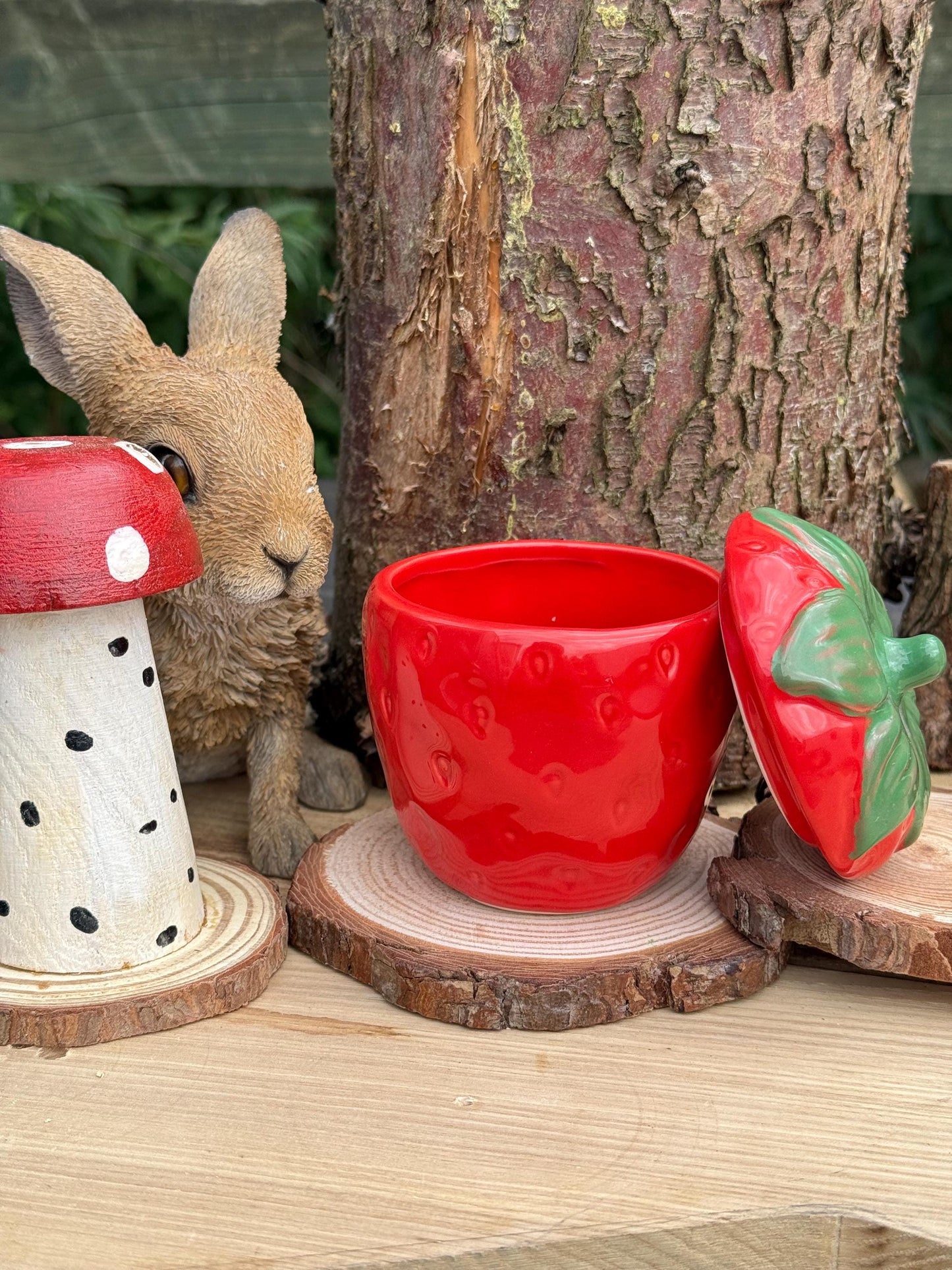 Strawberry Treat Jar Small Pet & Home Decor
