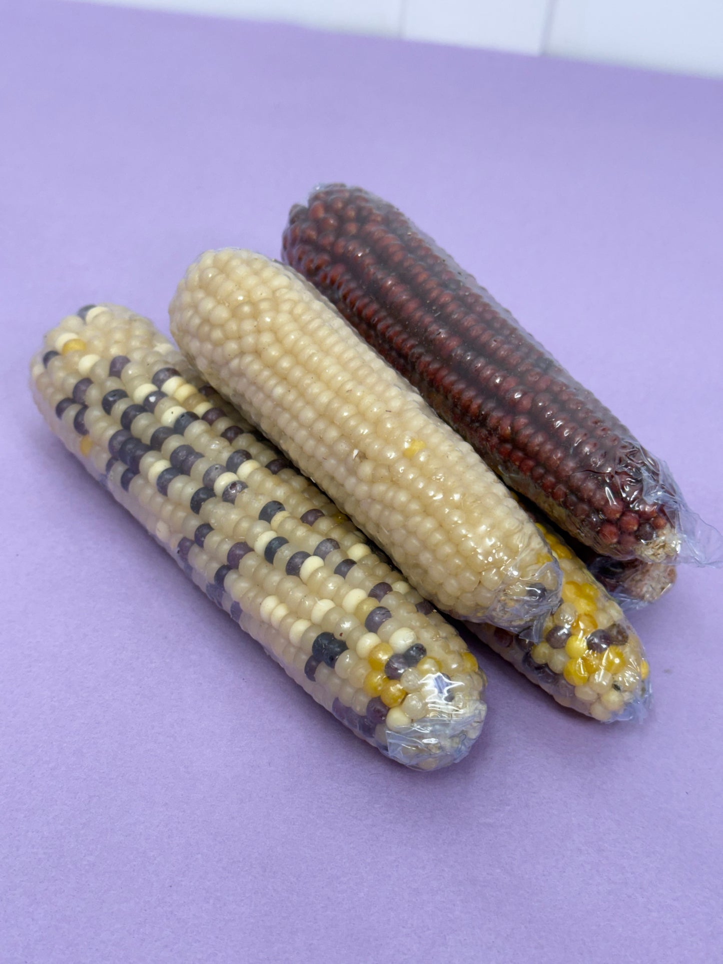 Dried CornCobs Enrichment For Hamsters, Mice, Birds