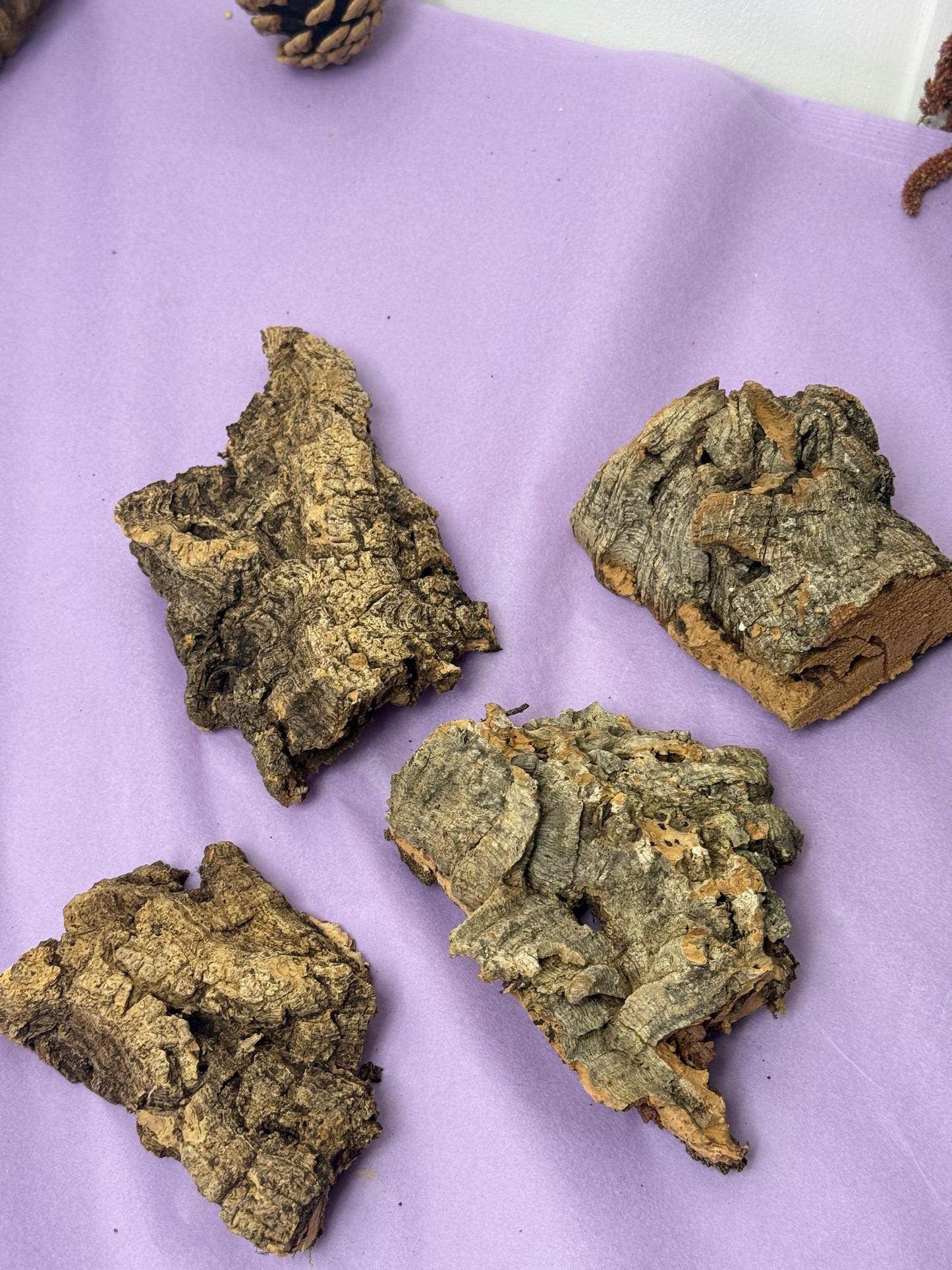 Cork Log Pieces Hamster cage & Aquarium Decor