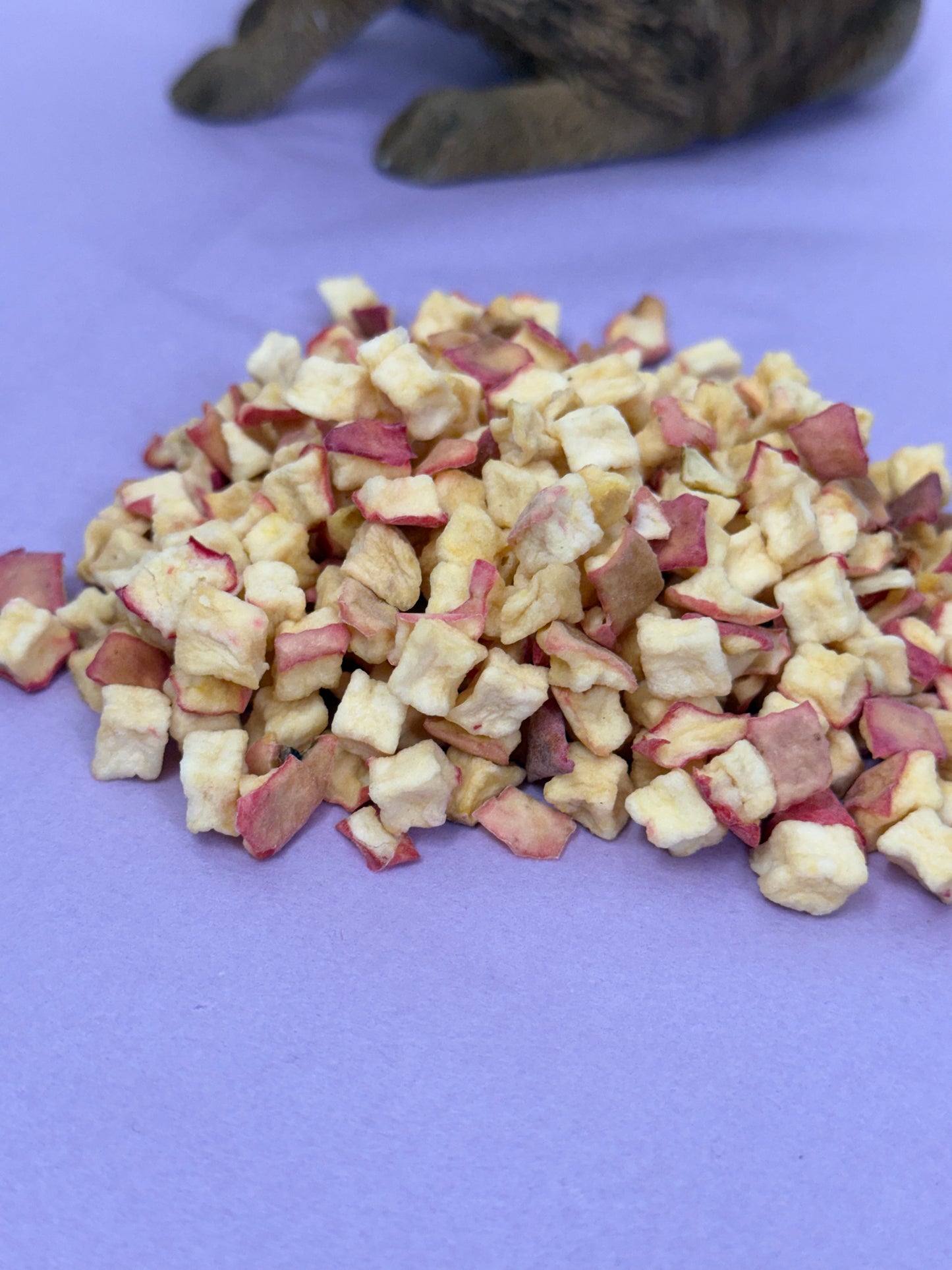 Dried Apple Natural Small Pet Treats