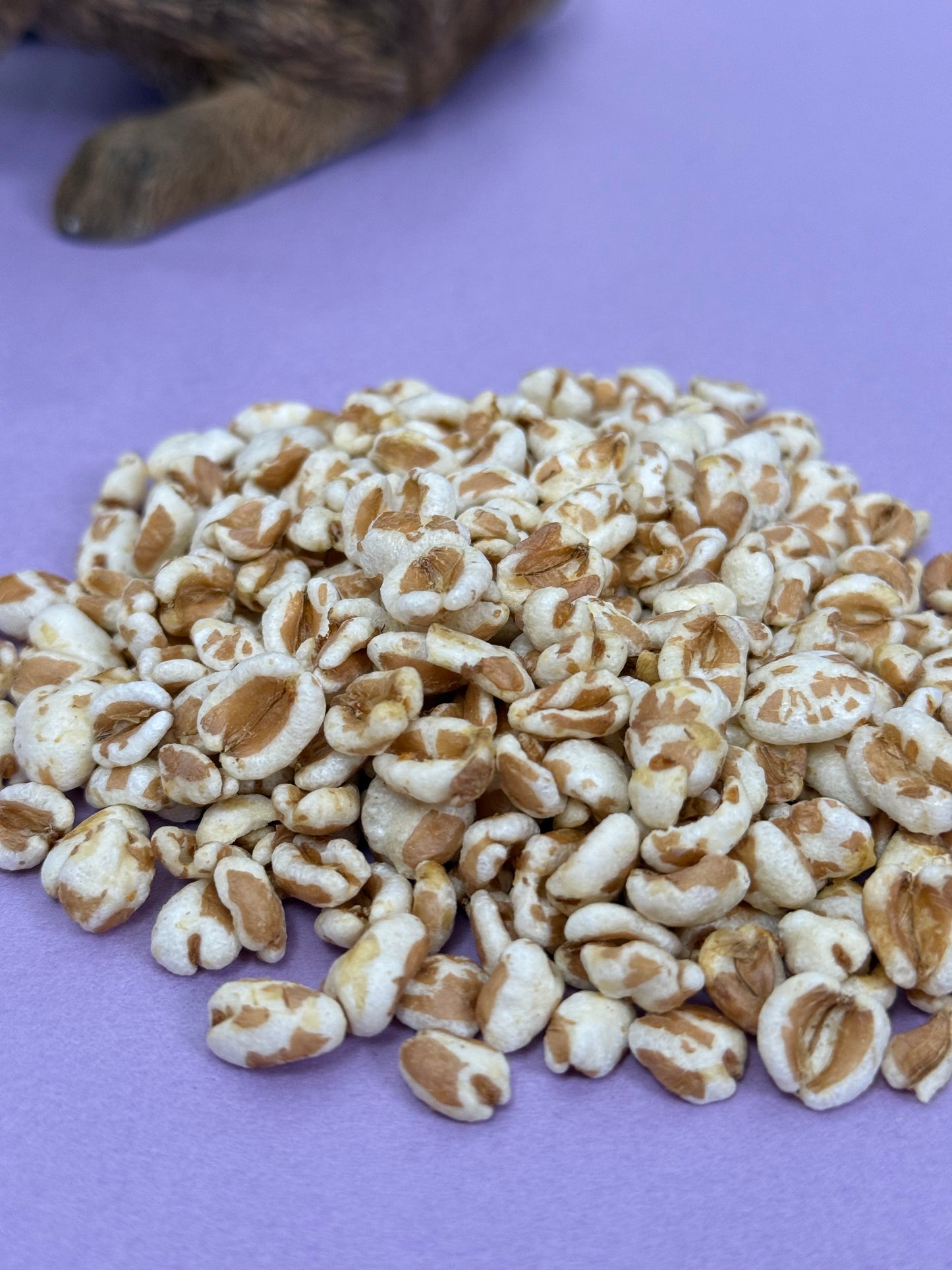 Puffed Spelt Treats For Small Animals