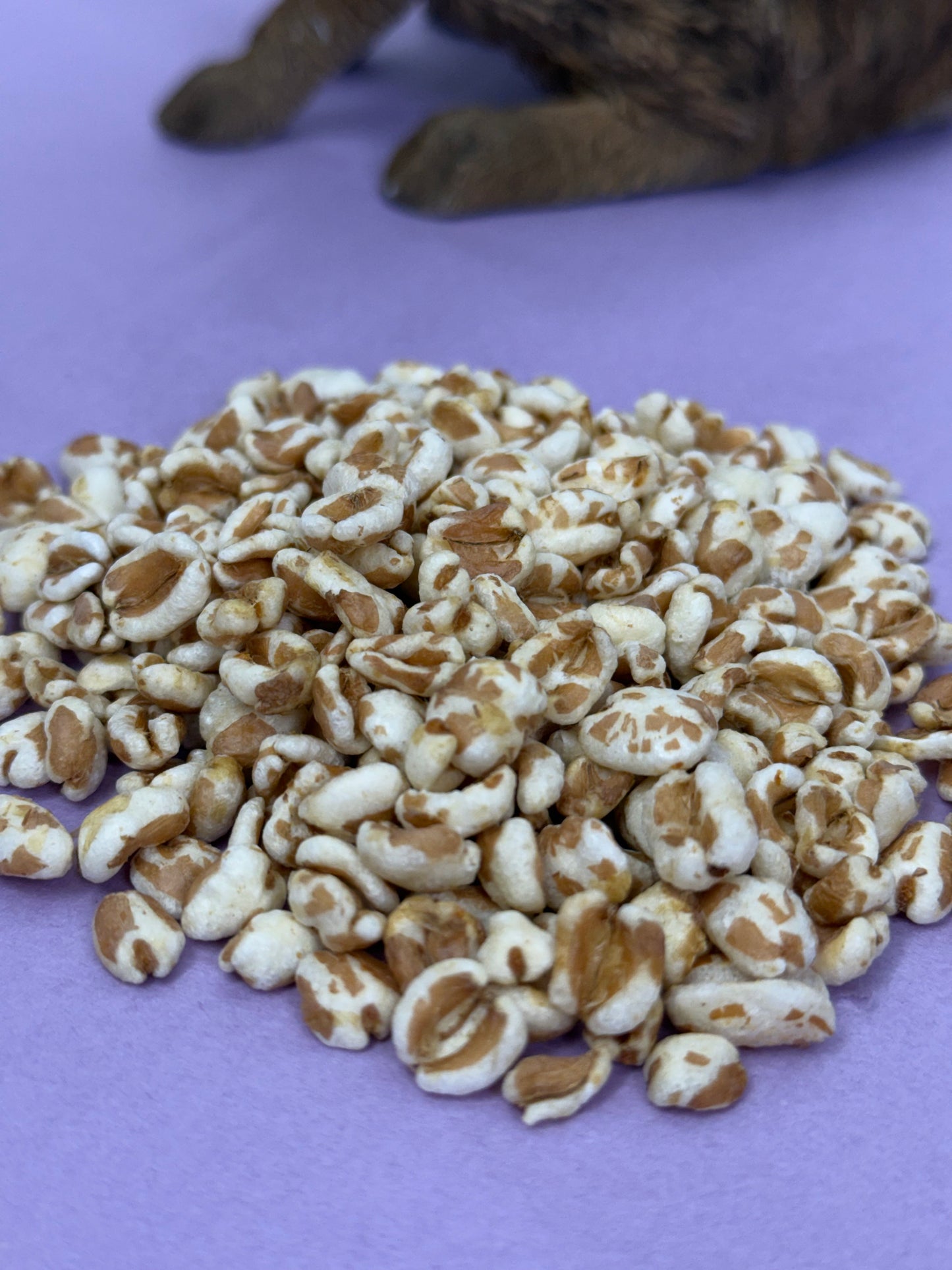 Puffed Spelt Treats For Small Animals