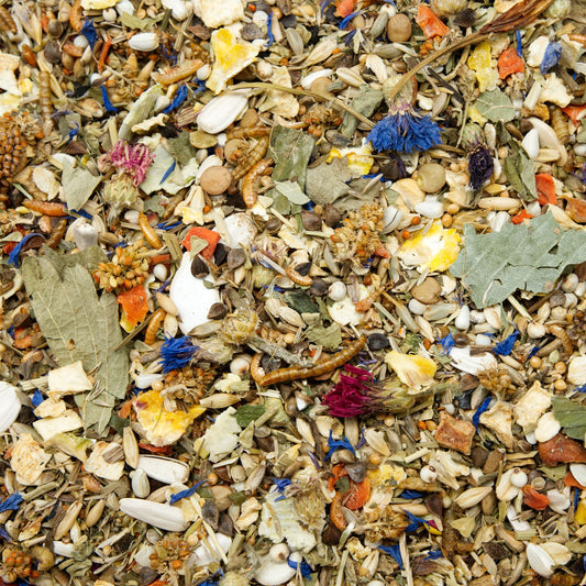 Syrian Food Seed Mix 500g by Koernerbude