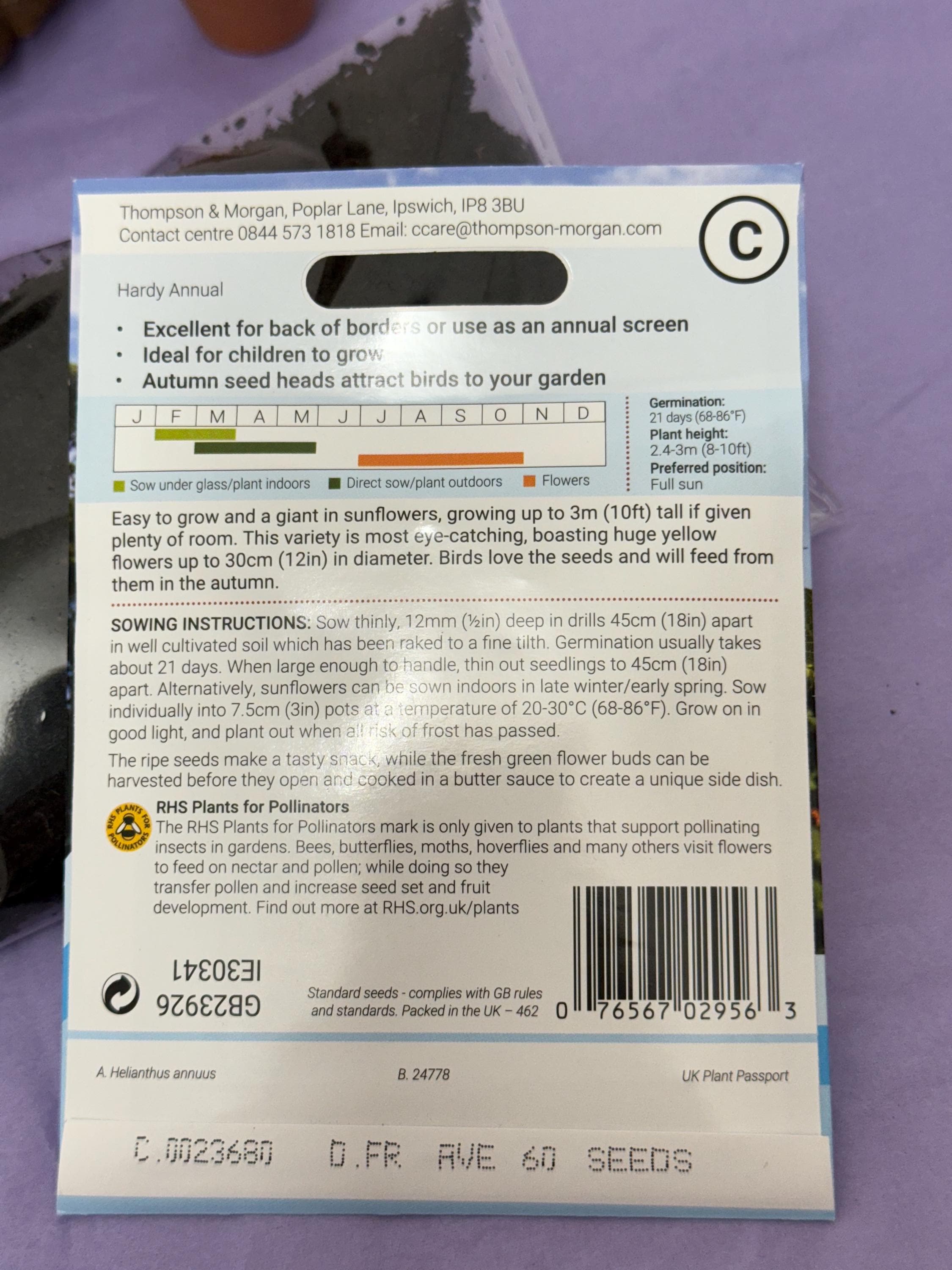 Grow Your Own Sunflower Kit! Eco Friendly Gift