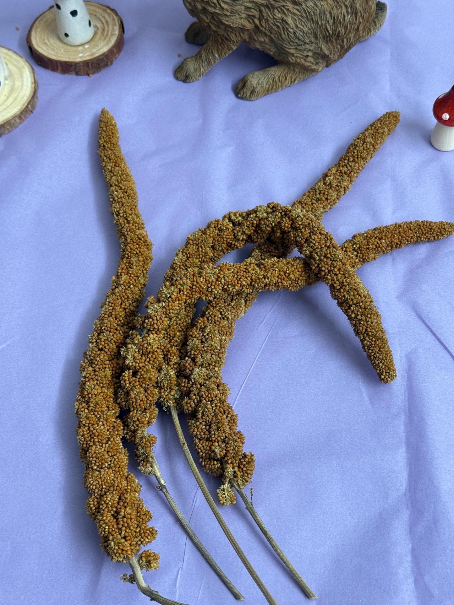 Red French Millet Sprays Forage For Hamsters, Birds, Gerbils
