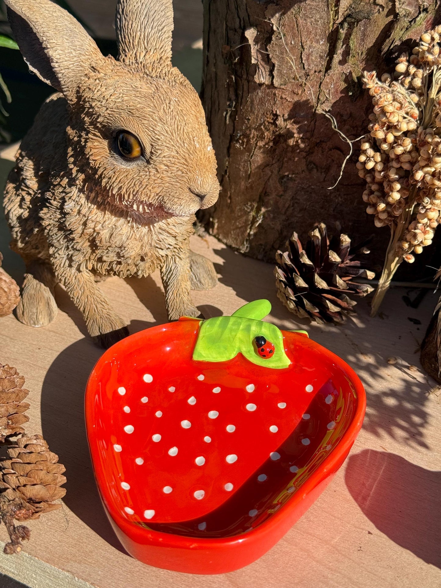 Strawberry Hamster Bowl Spotted Food Dish