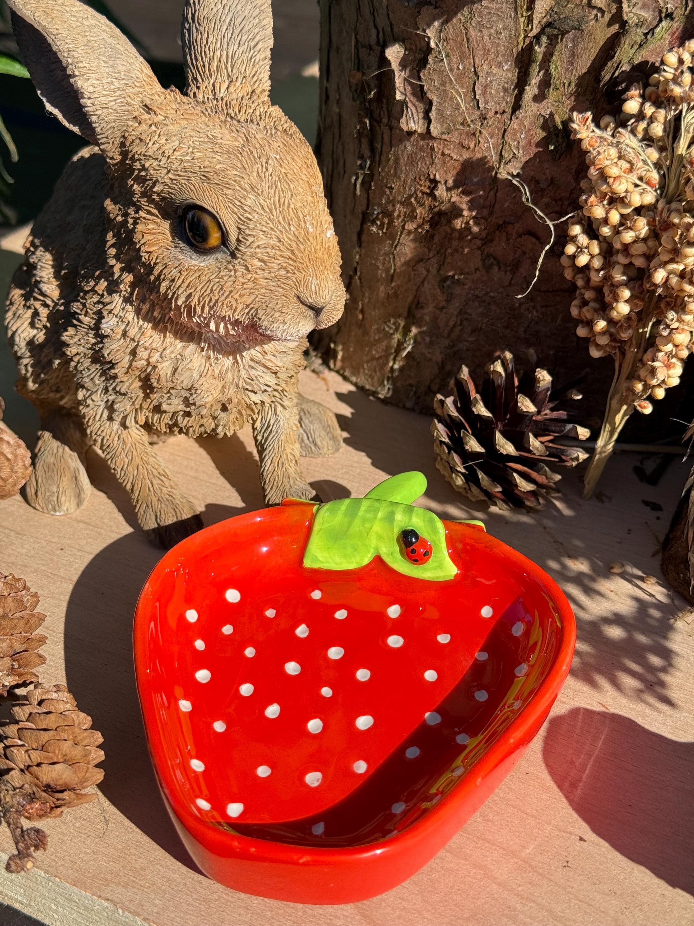 Strawberry Hamster Bowl Spotted Food Dish