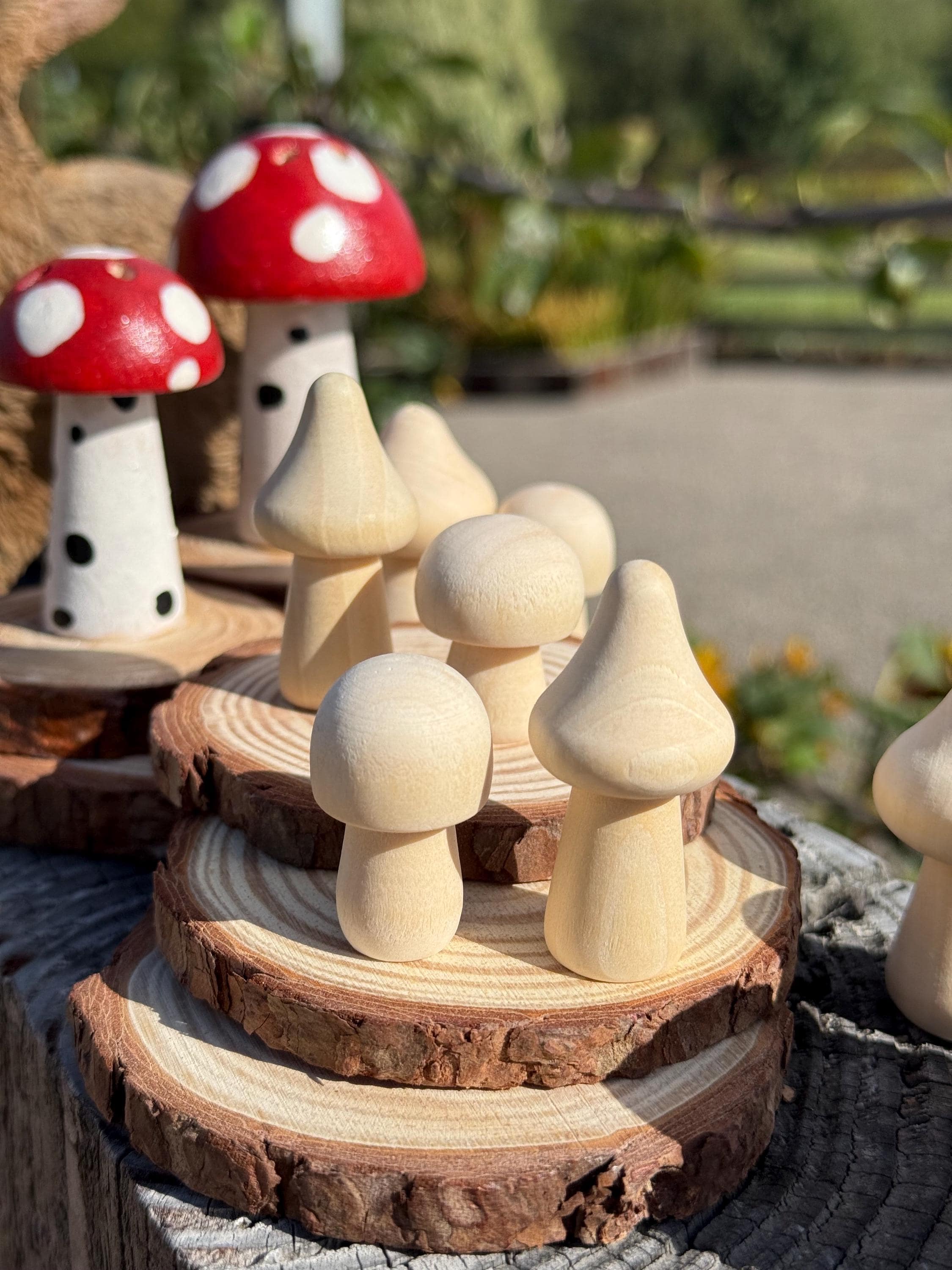 Wooden Mushrooms Hamster Chew | Woodland Decor| Cottage Decoration Fairy
