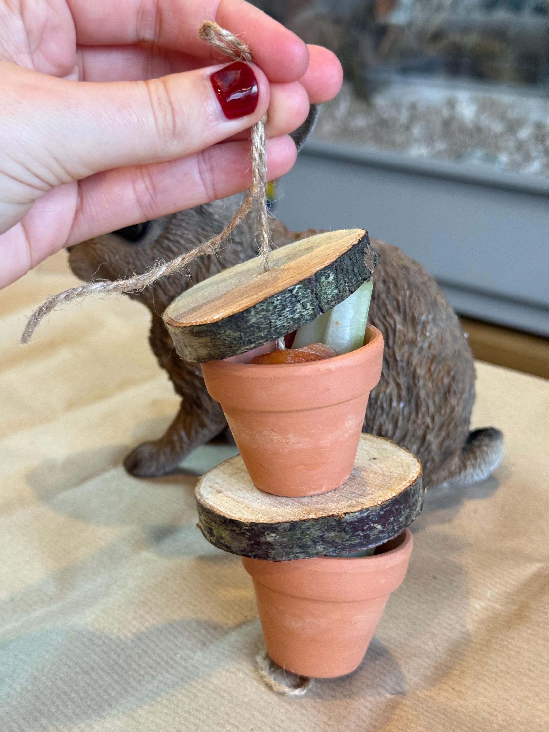 Hanging Foraging Pots & Wood Slices, Veg Hiding Toy For Rabbits, Guineapigs and Small Animals